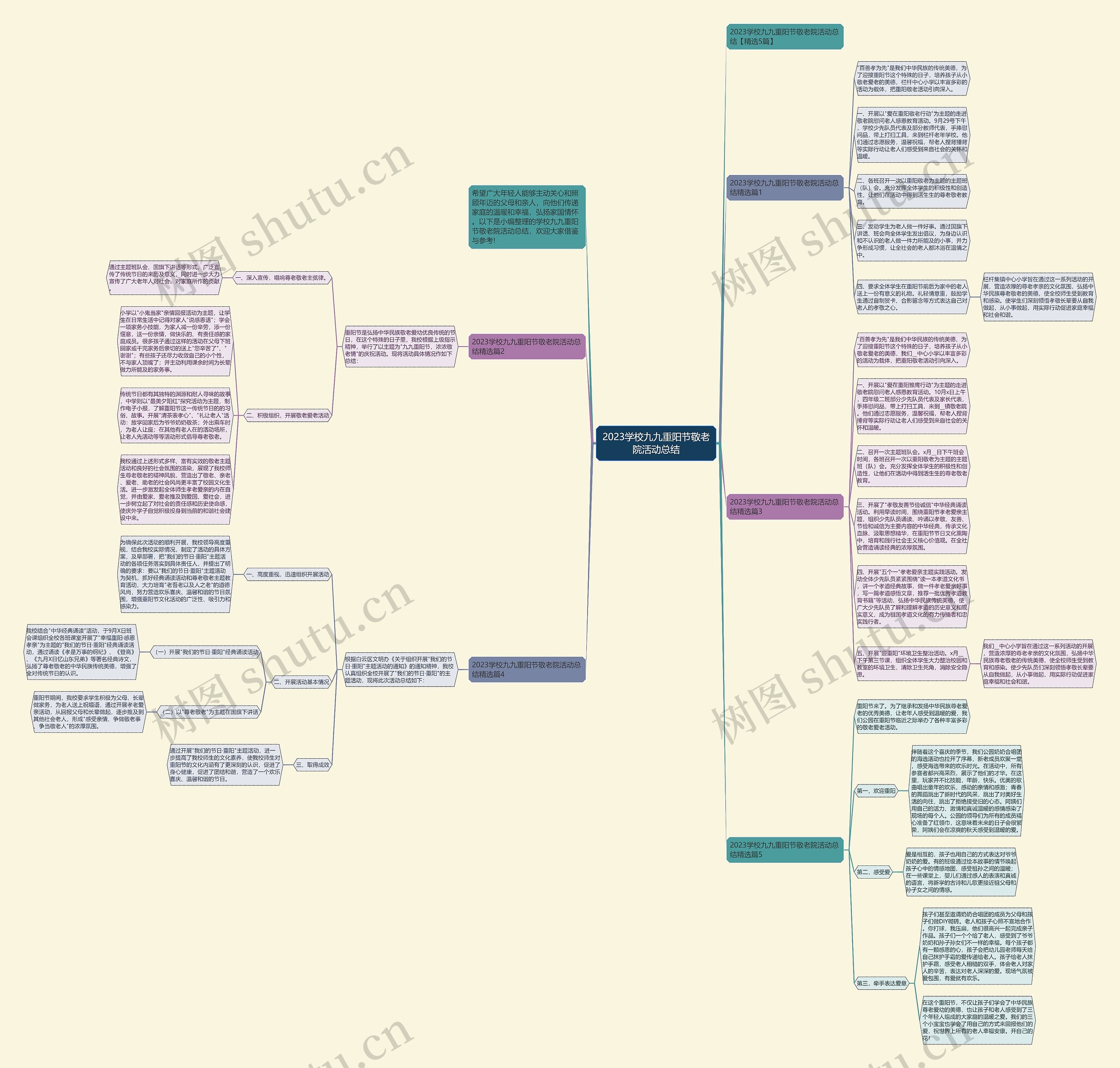 2023学校九九重阳节敬老院活动总结思维导图