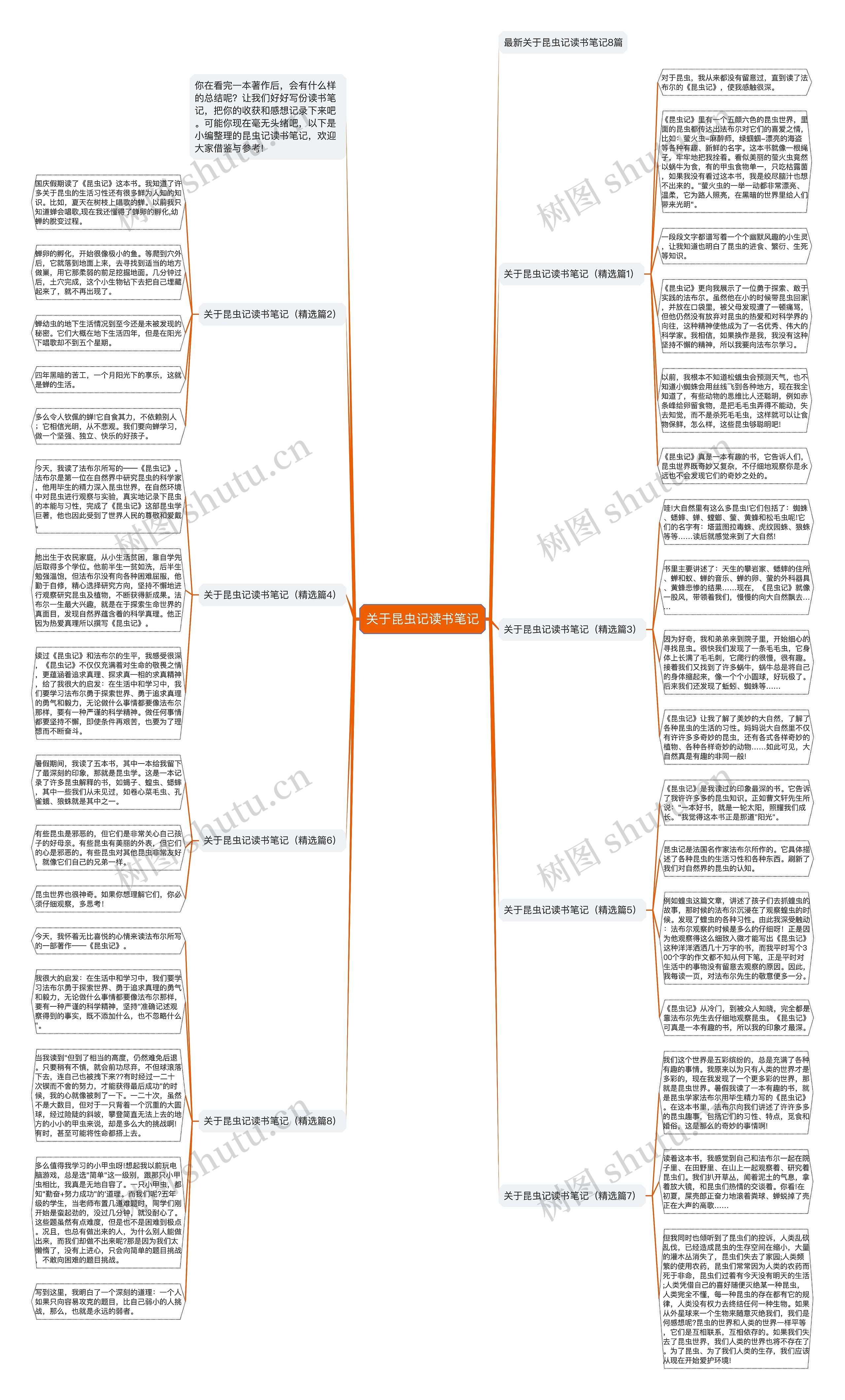 关于昆虫记读书笔记思维导图