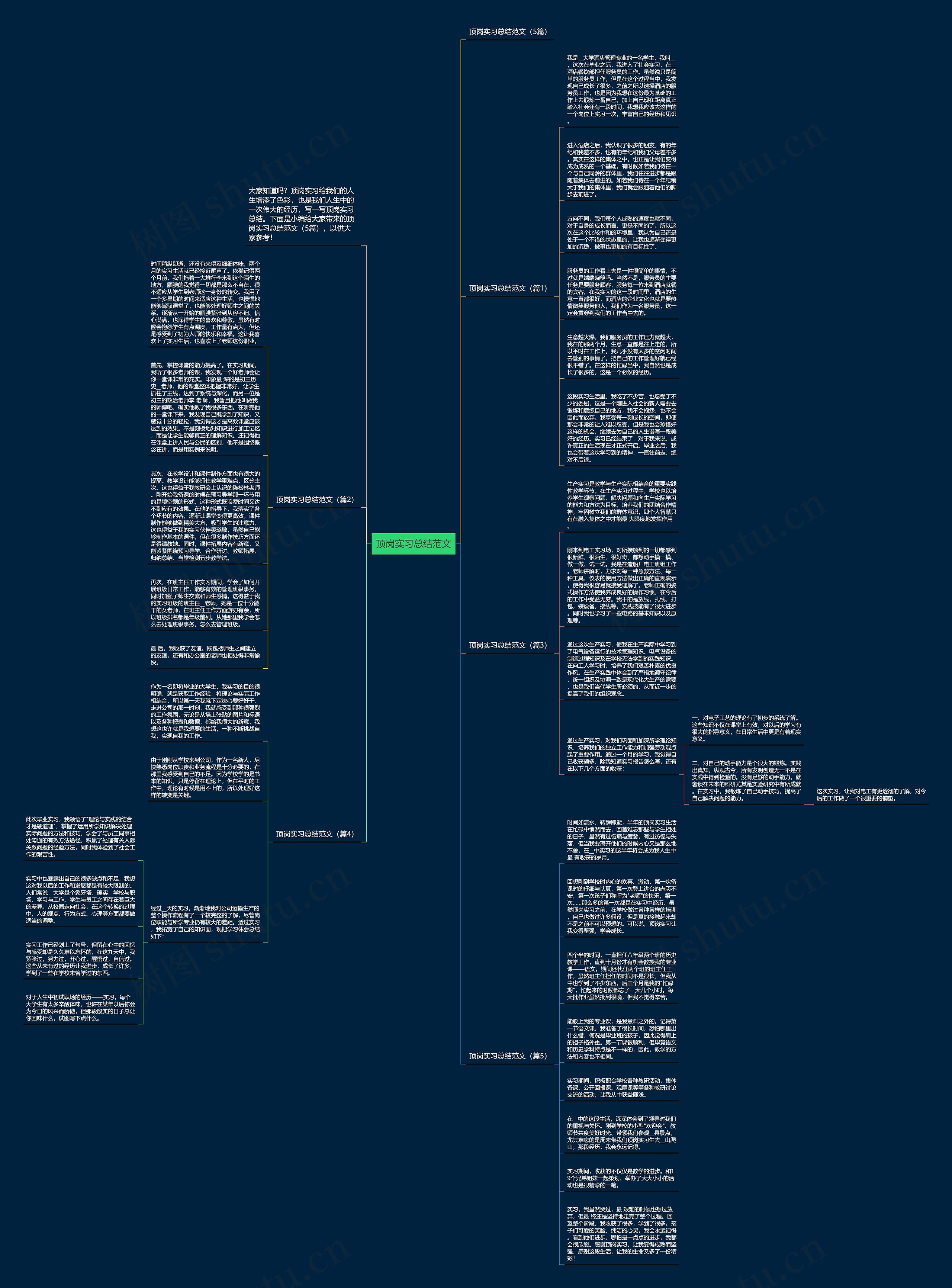 顶岗实习总结范文思维导图