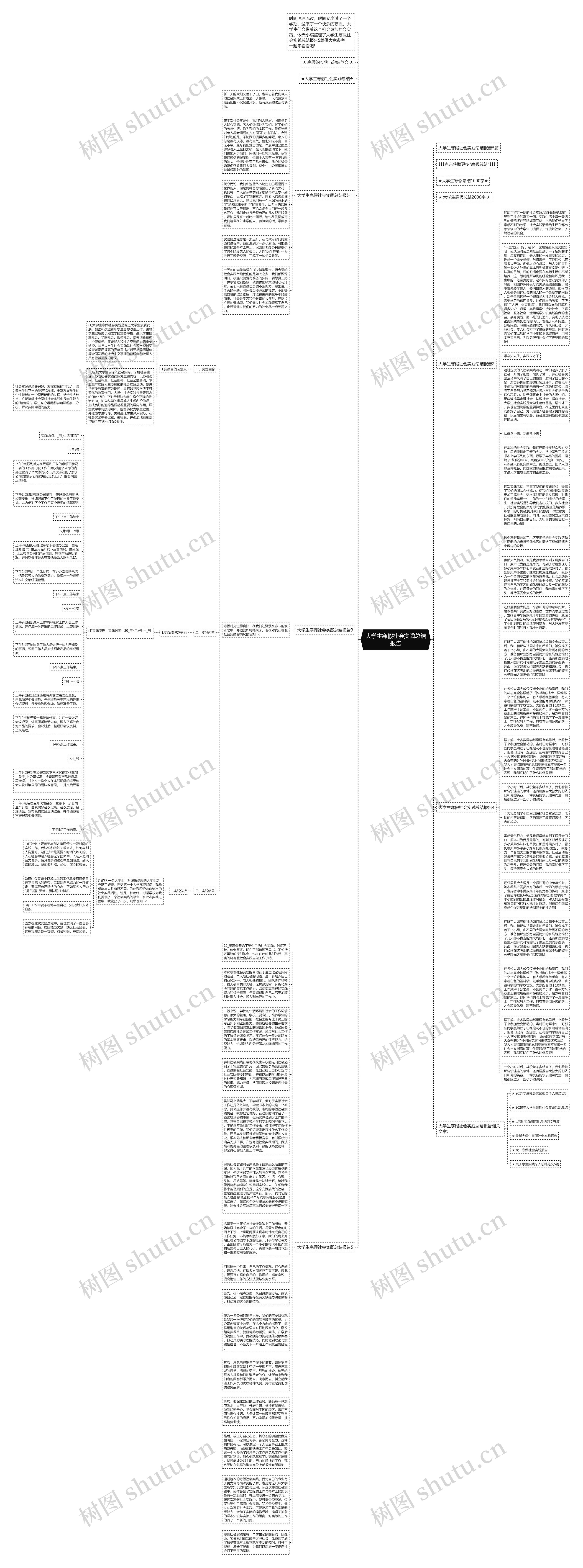 大学生寒假社会实践总结报告思维导图