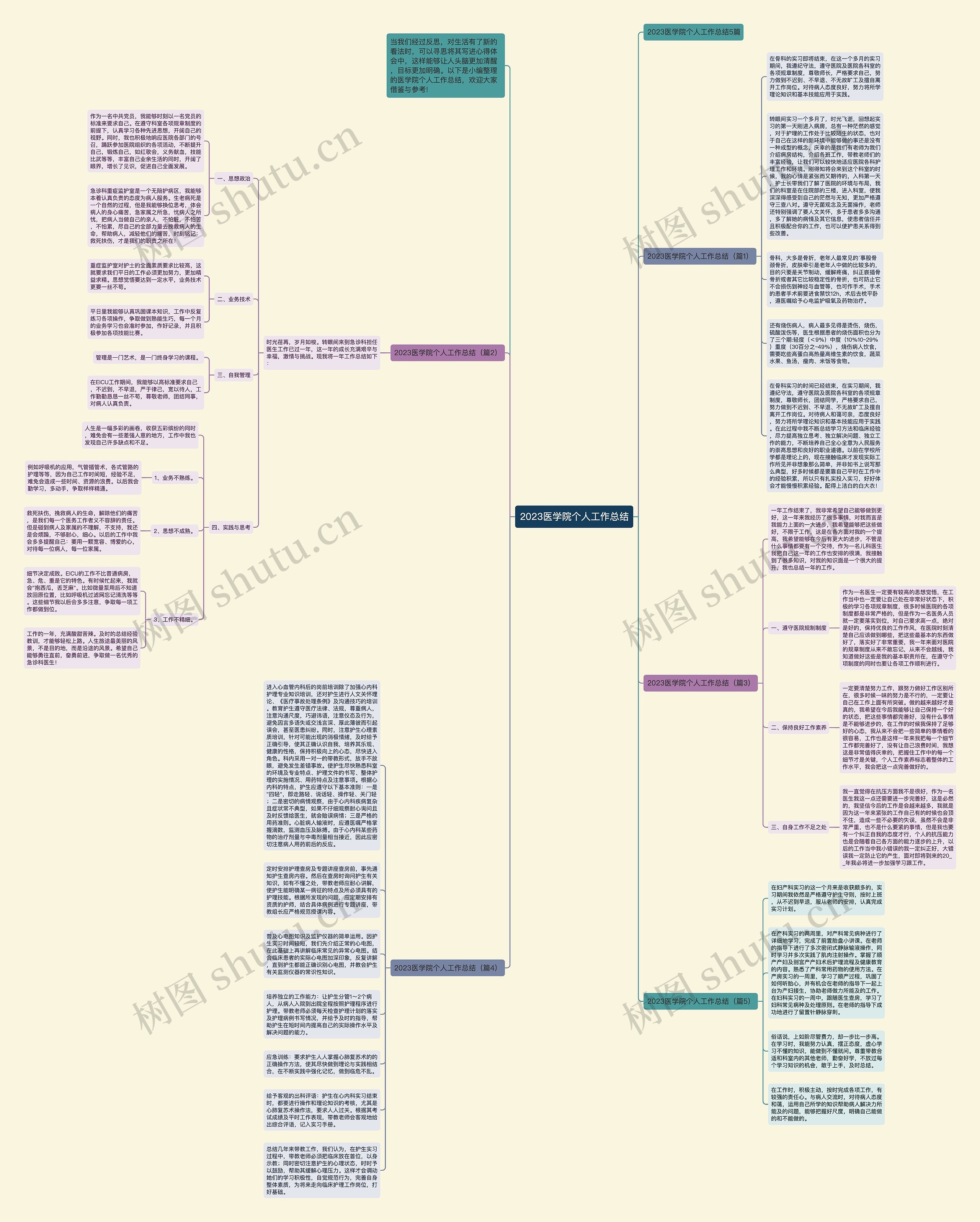 2023医学院个人工作总结思维导图