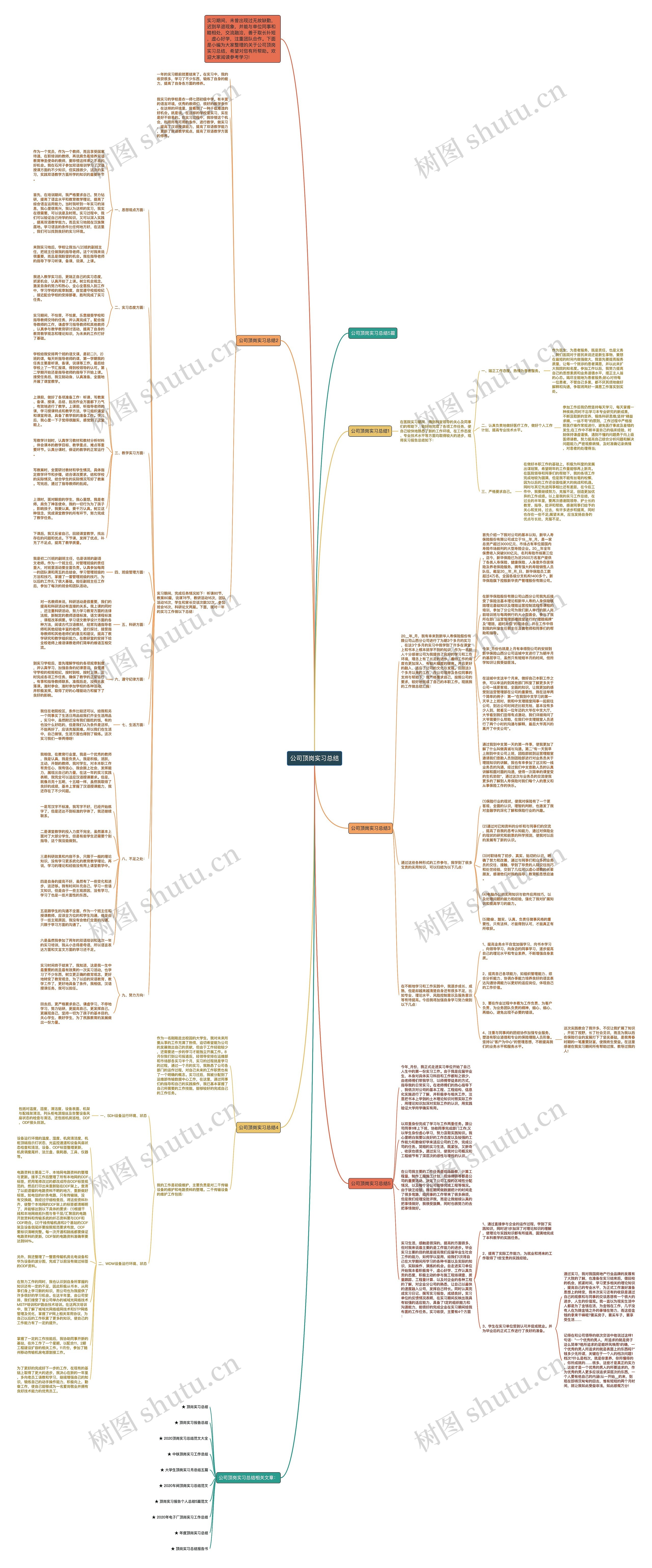 公司顶岗实习总结思维导图