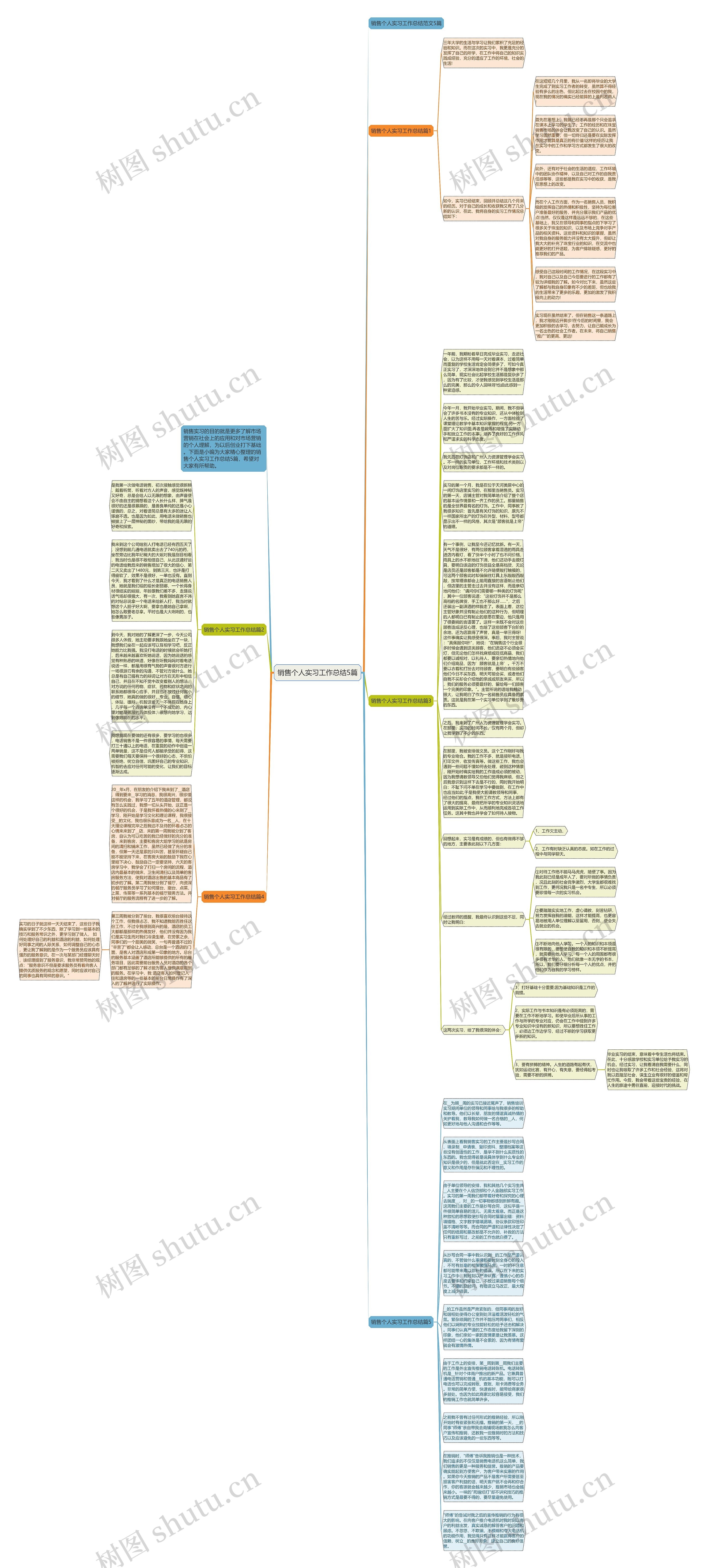 销售个人实习工作总结5篇思维导图