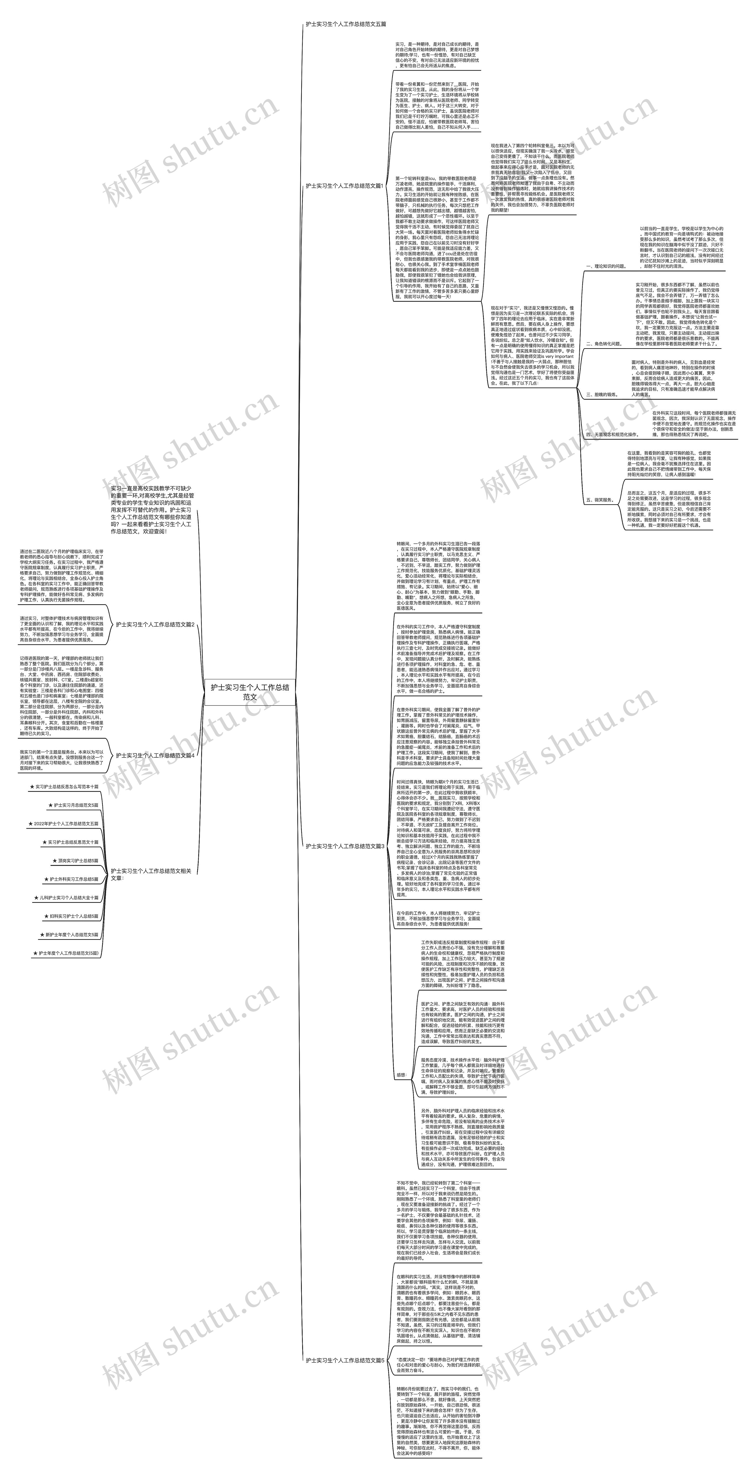护士实习生个人工作总结范文思维导图