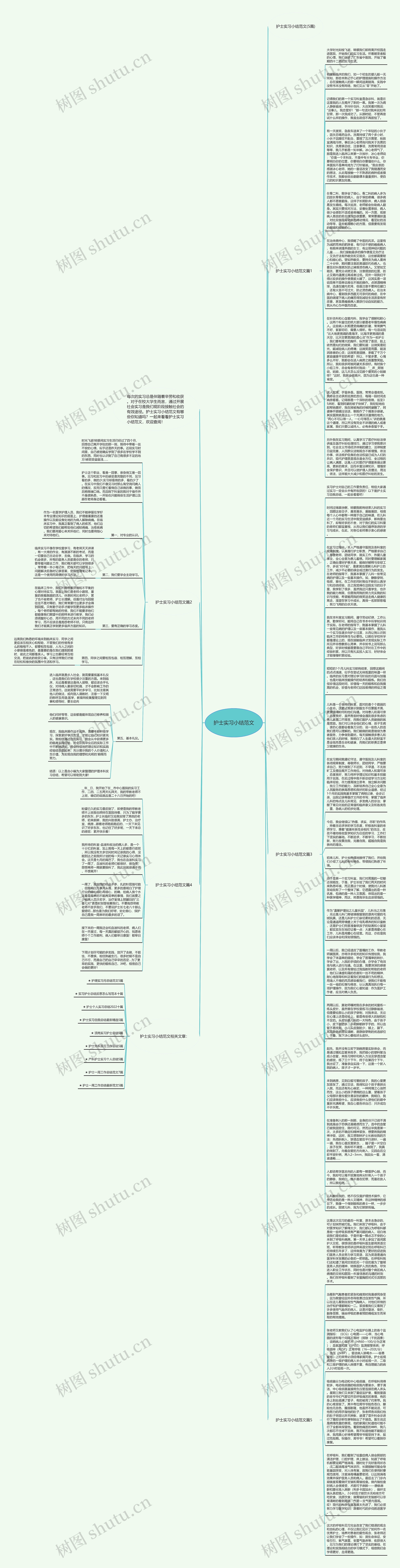护士实习小结范文思维导图