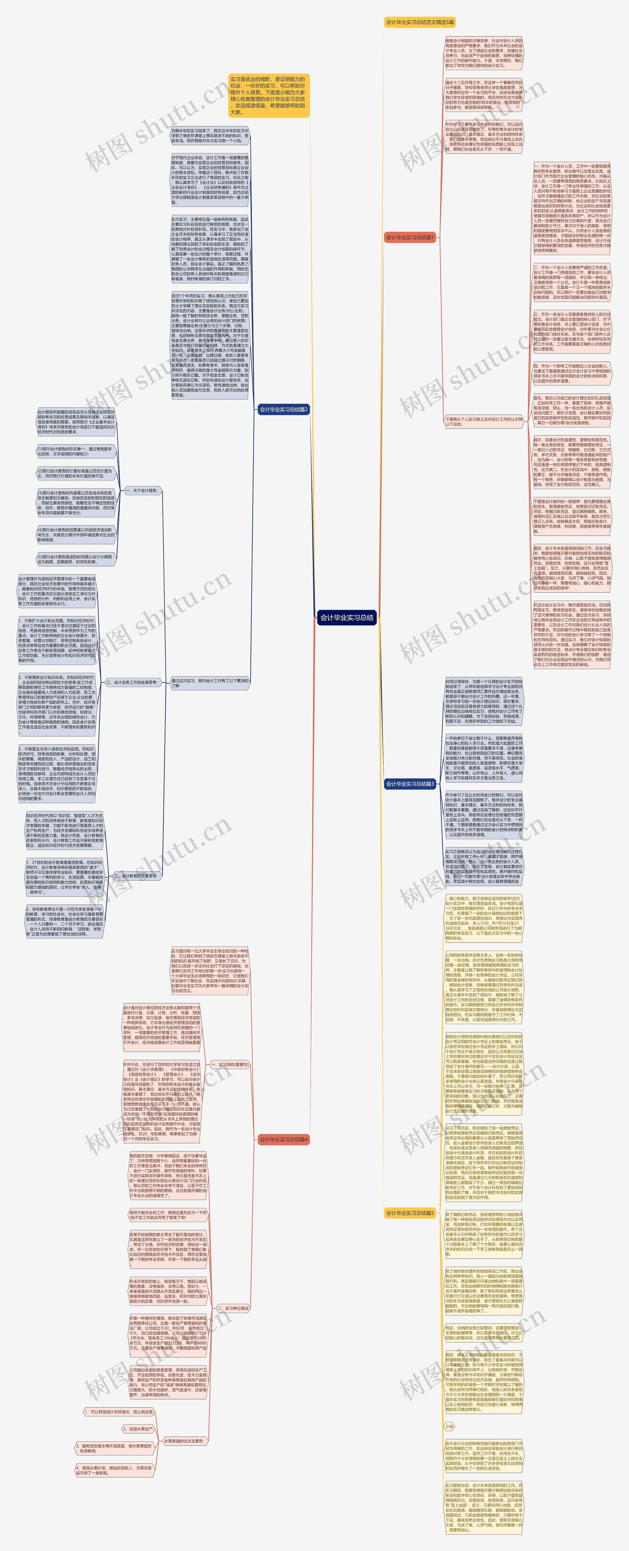 会计毕业实习总结思维导图