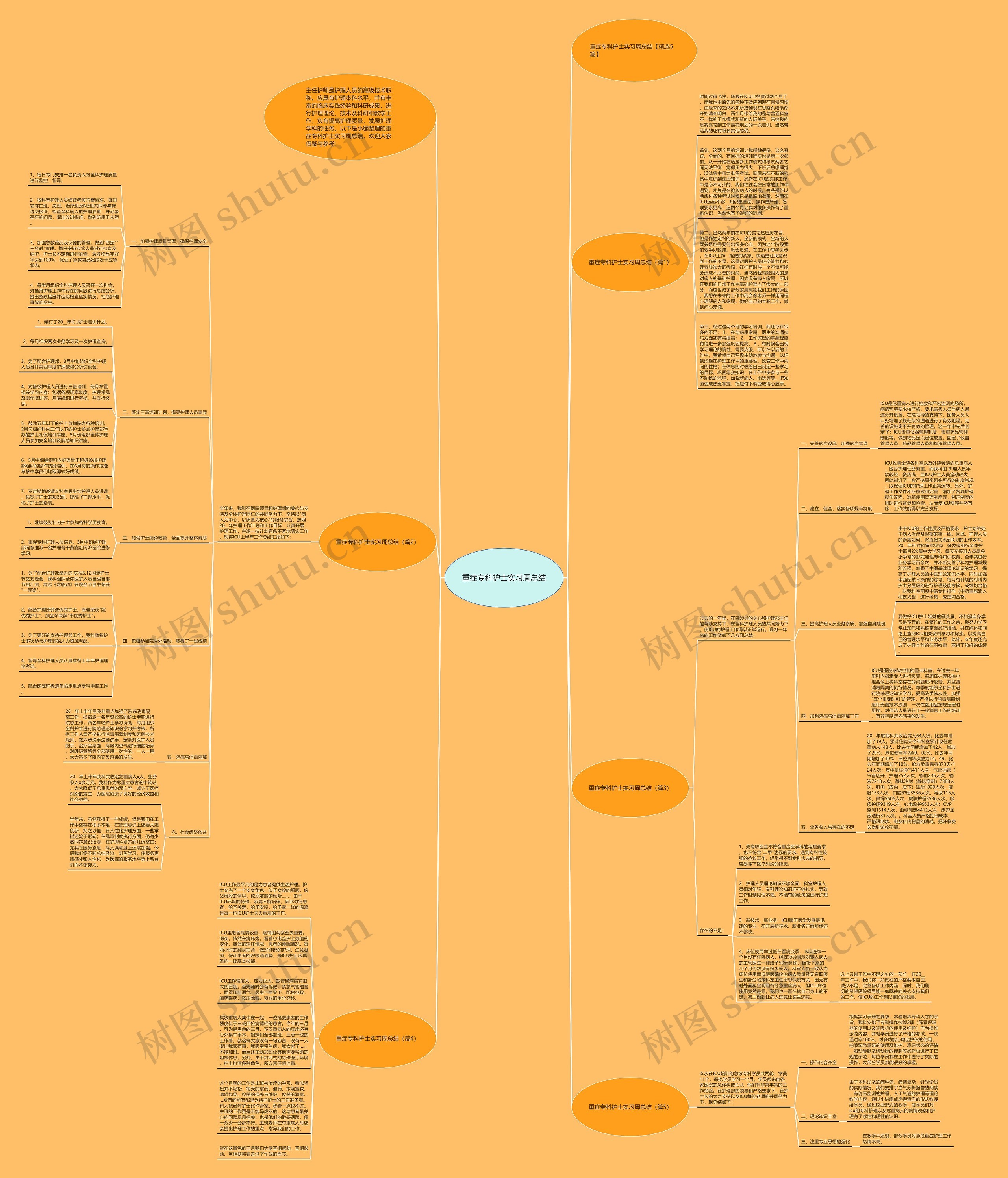 重症专科护士实习周总结思维导图