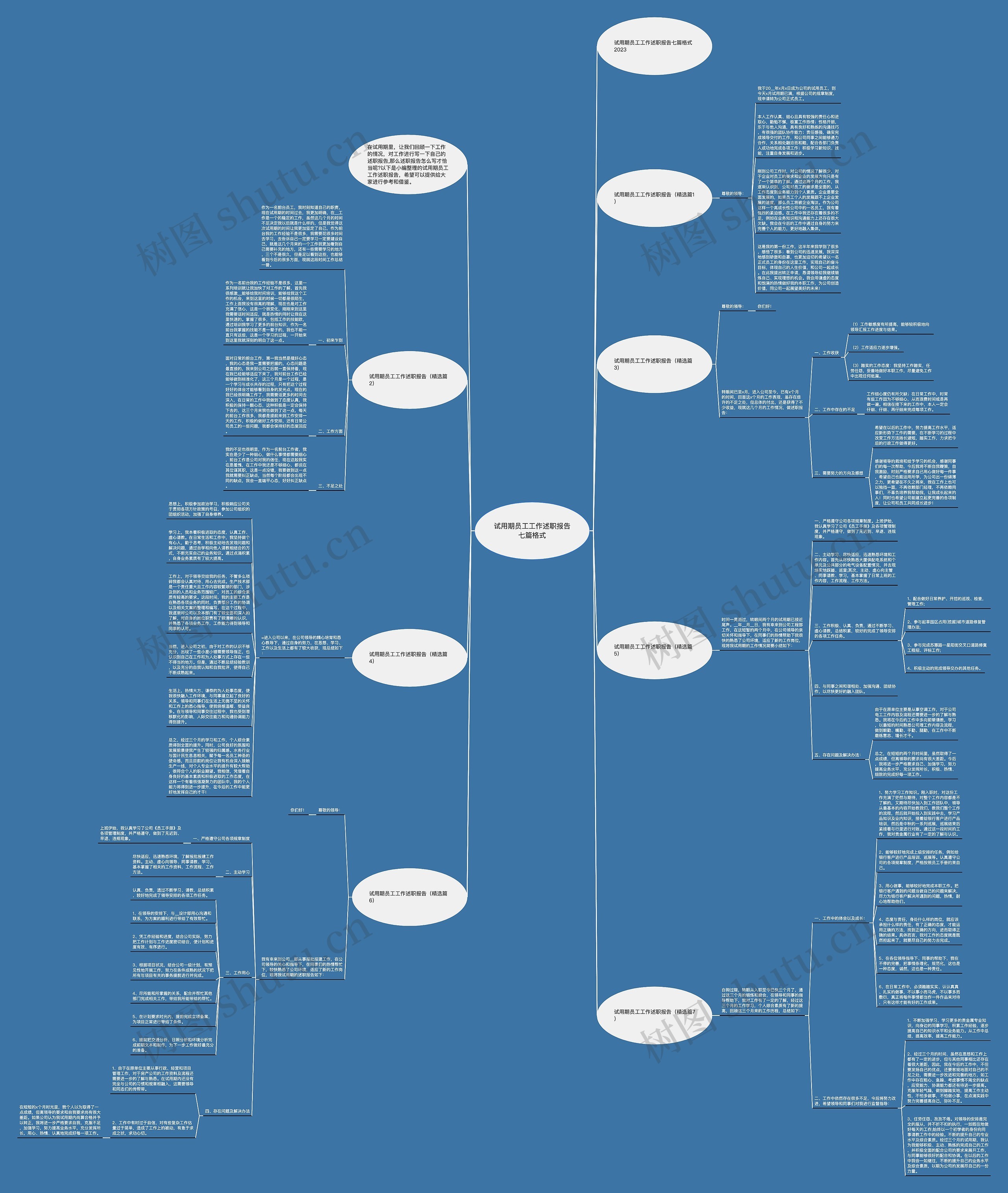 试用期员工工作述职报告七篇格式思维导图