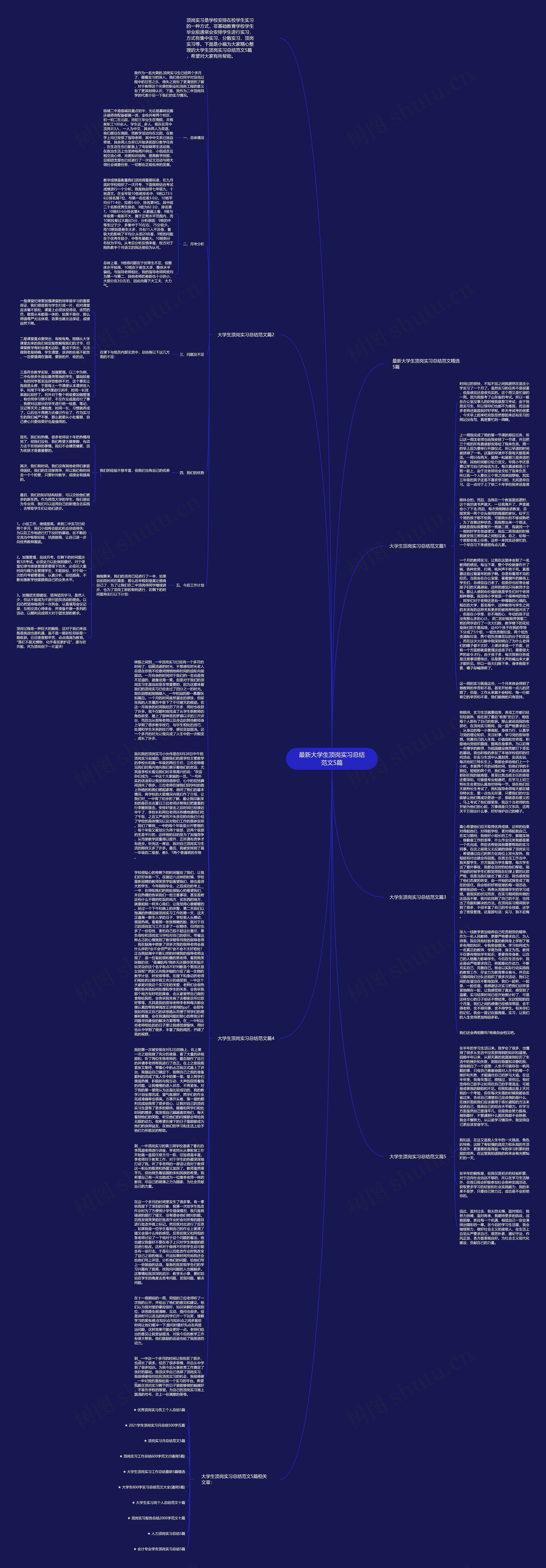 最新大学生顶岗实习总结范文5篇思维导图