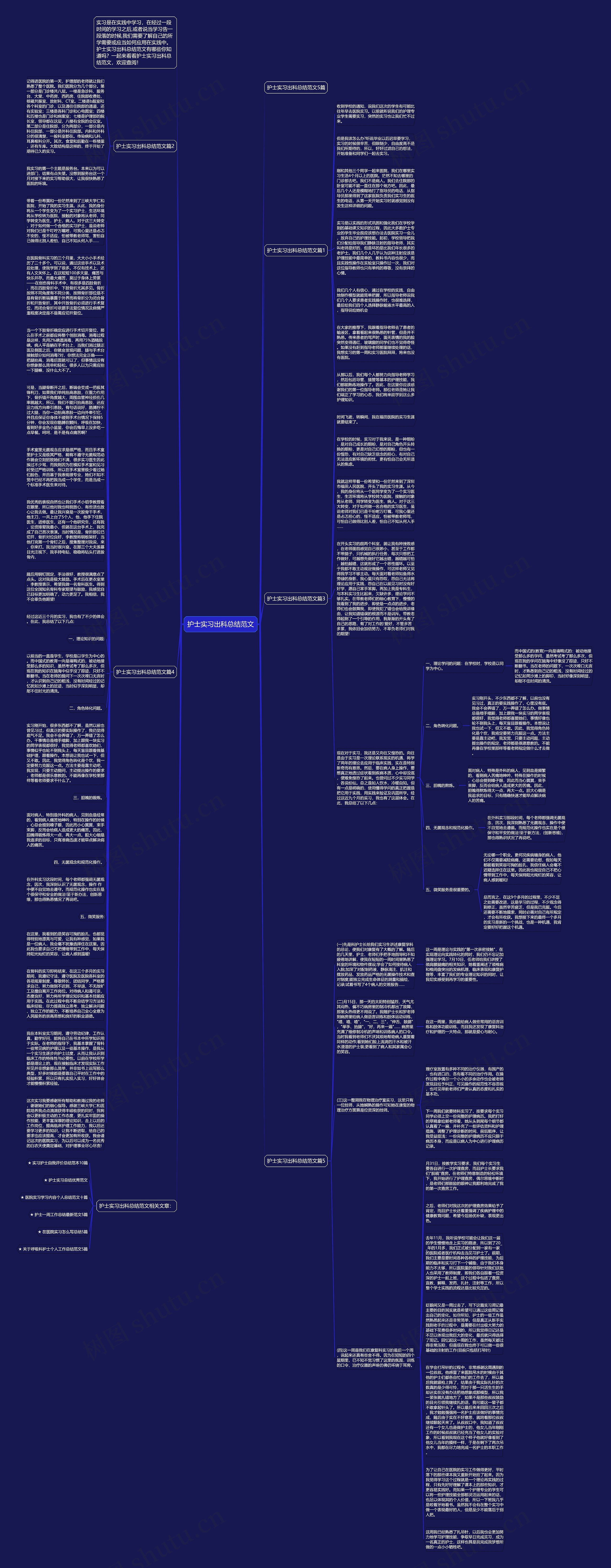 护士实习出科总结范文思维导图