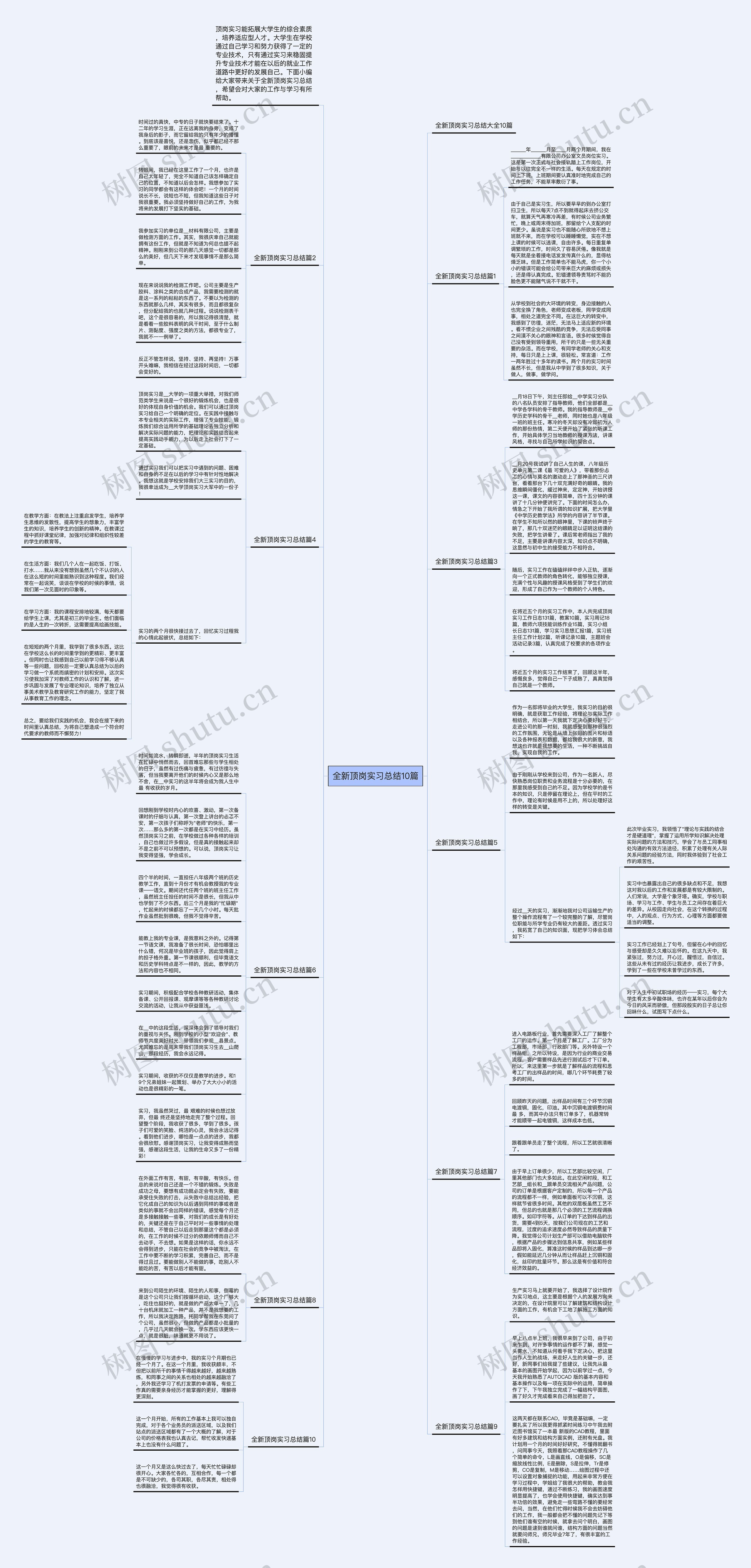 全新顶岗实习总结10篇思维导图