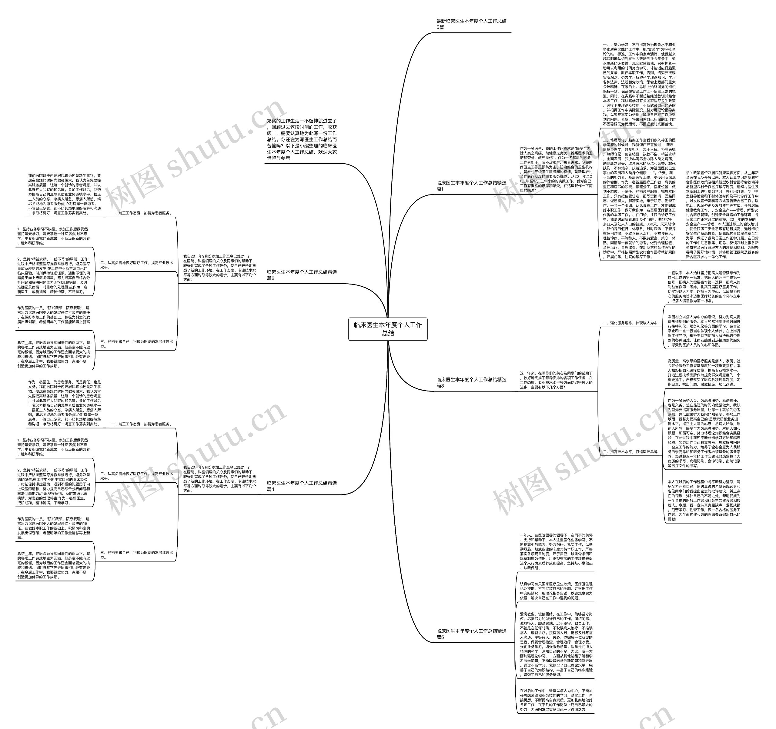 临床医生本年度个人工作总结思维导图