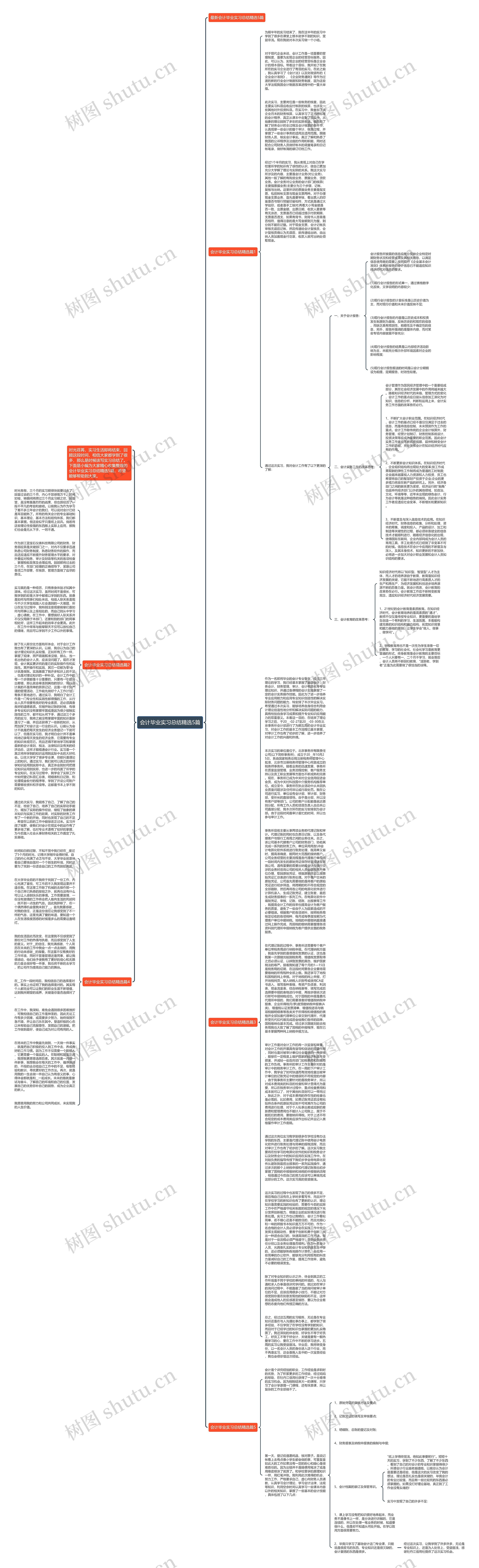 会计毕业实习总结精选5篇思维导图