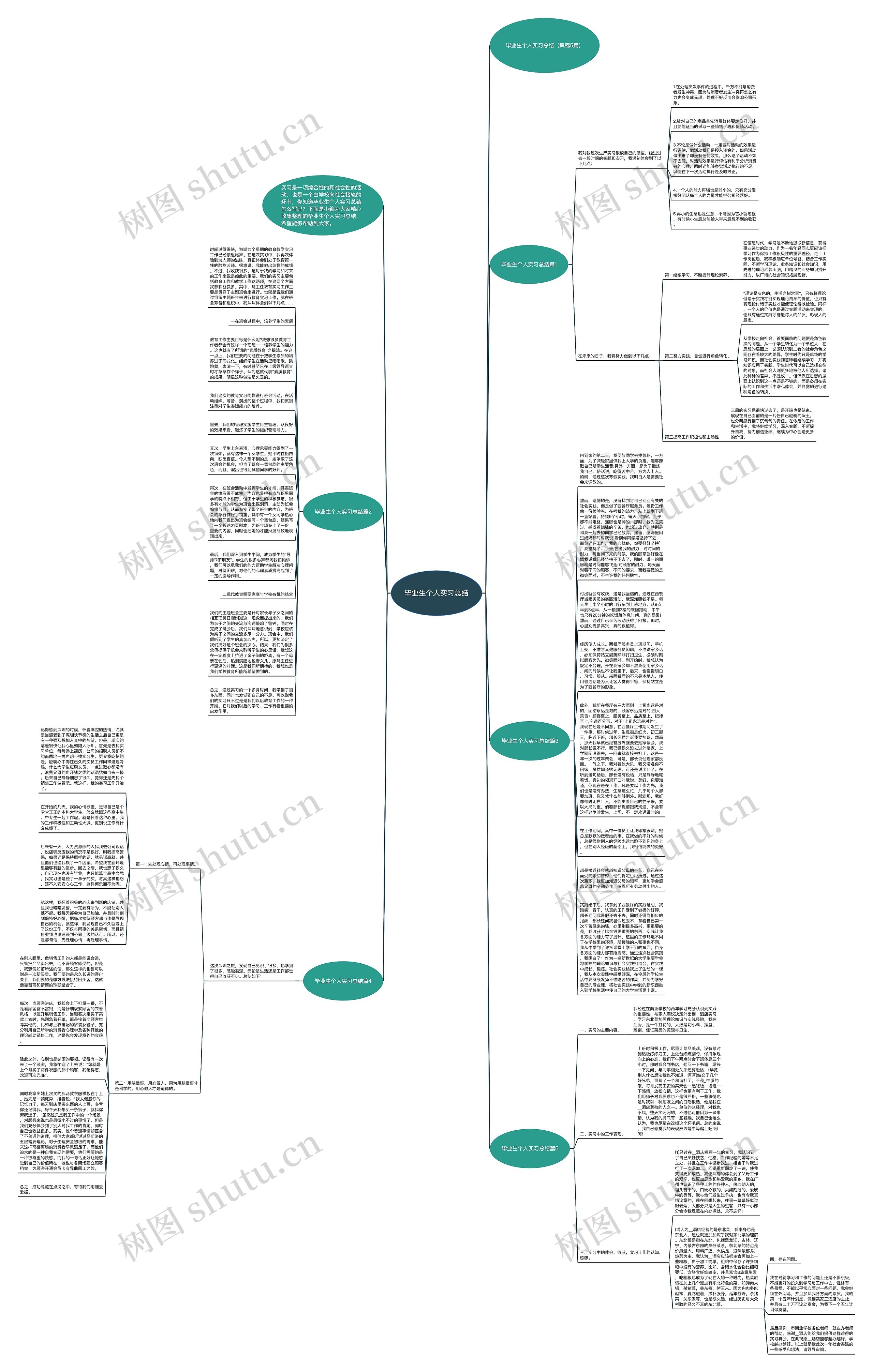 毕业生个人实习总结思维导图