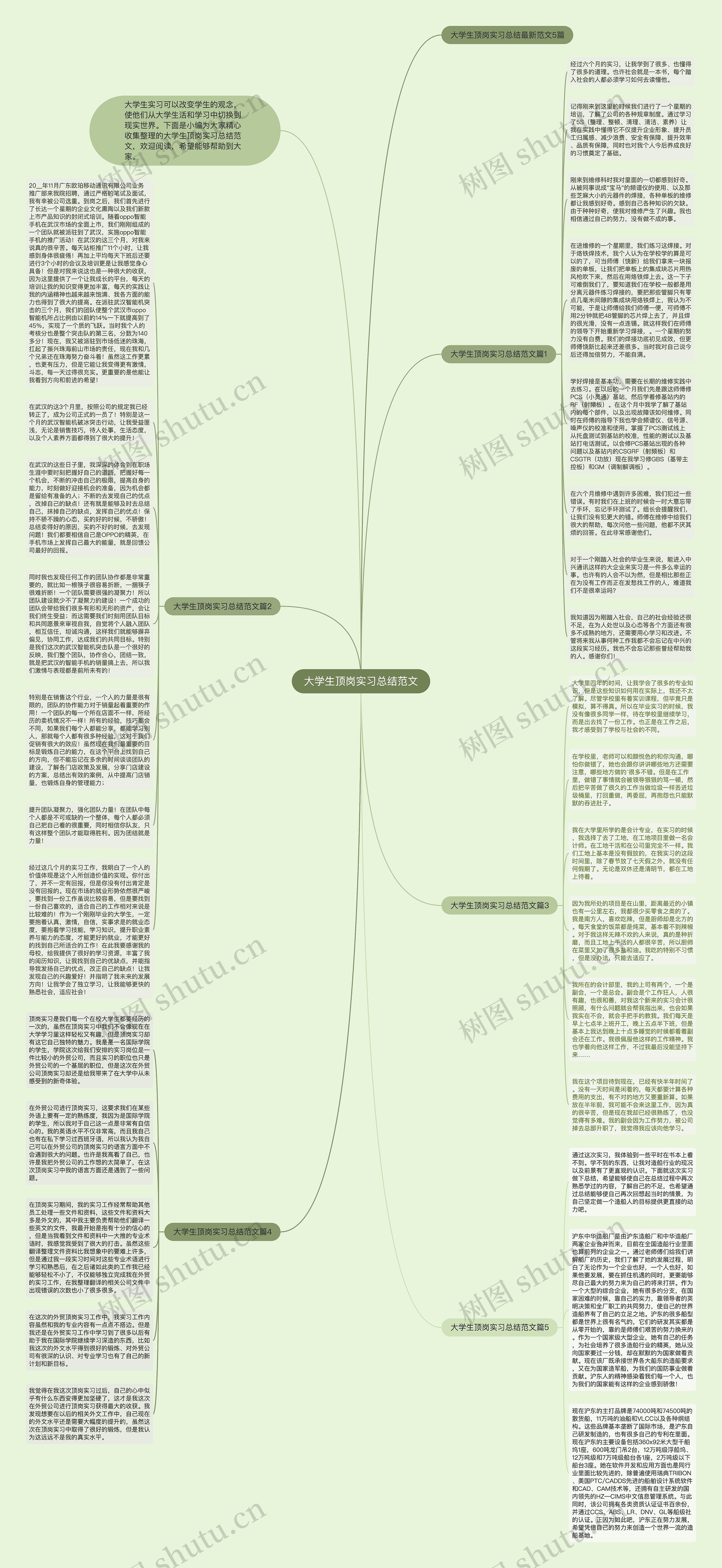 大学生顶岗实习总结范文思维导图