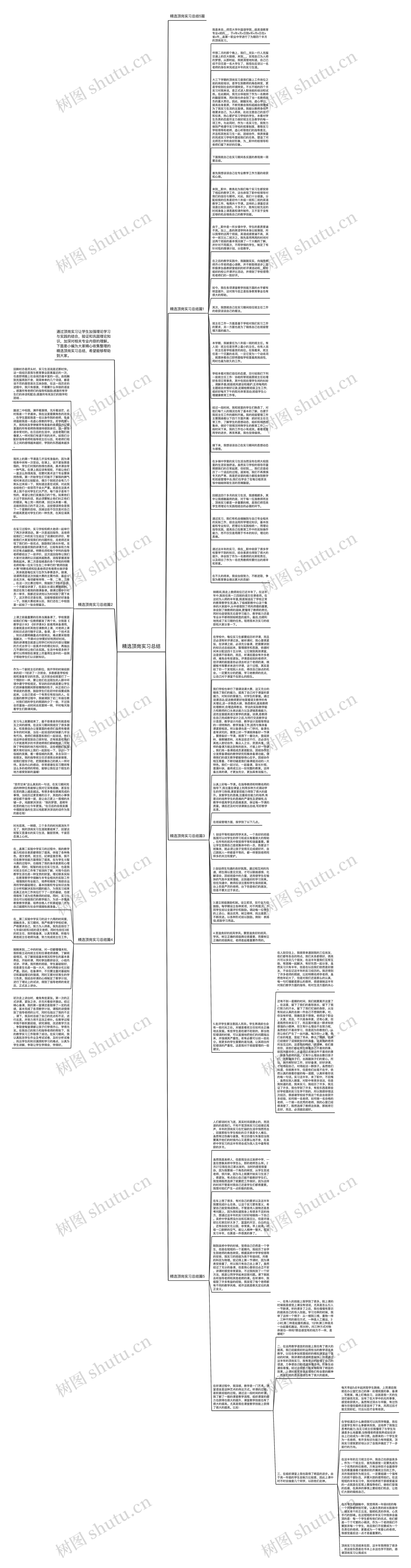 精选顶岗实习总结思维导图