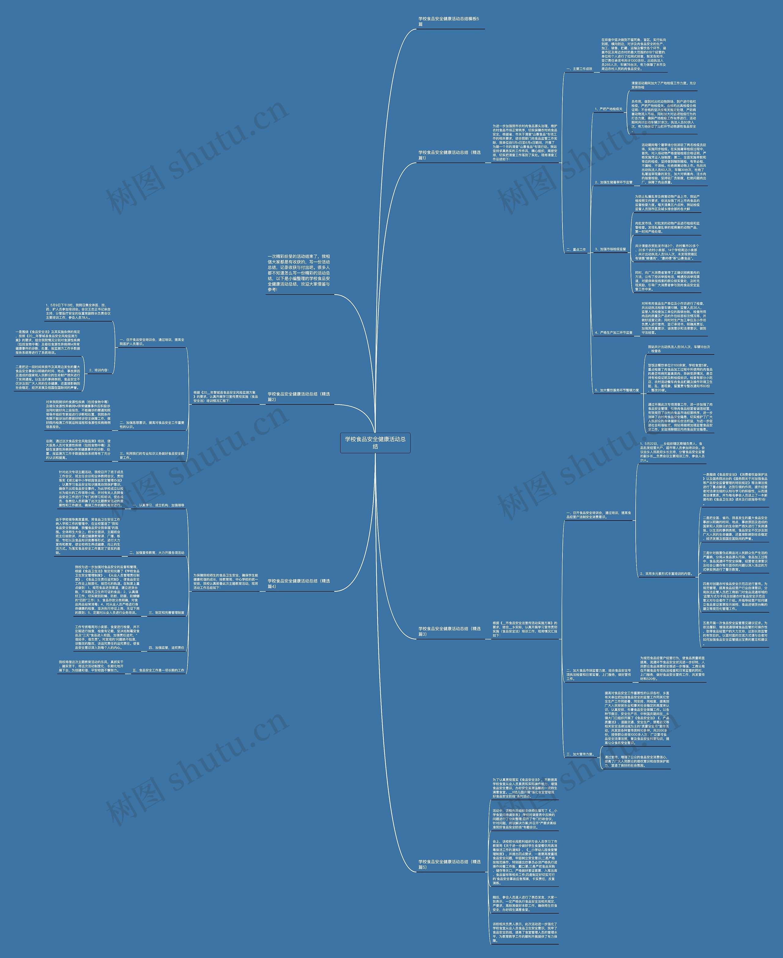 学校食品安全健康活动总结思维导图