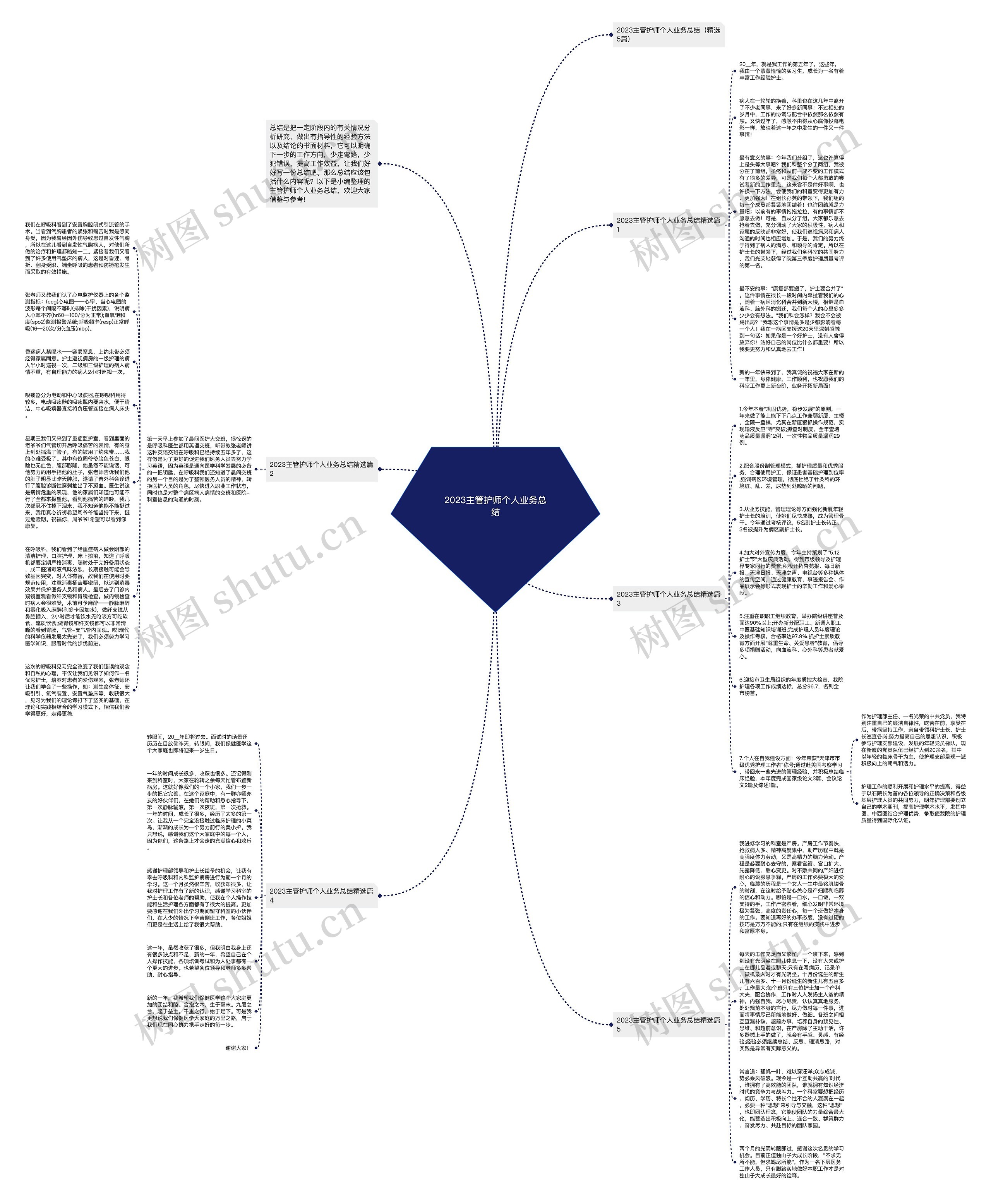 2023主管护师个人业务总结思维导图