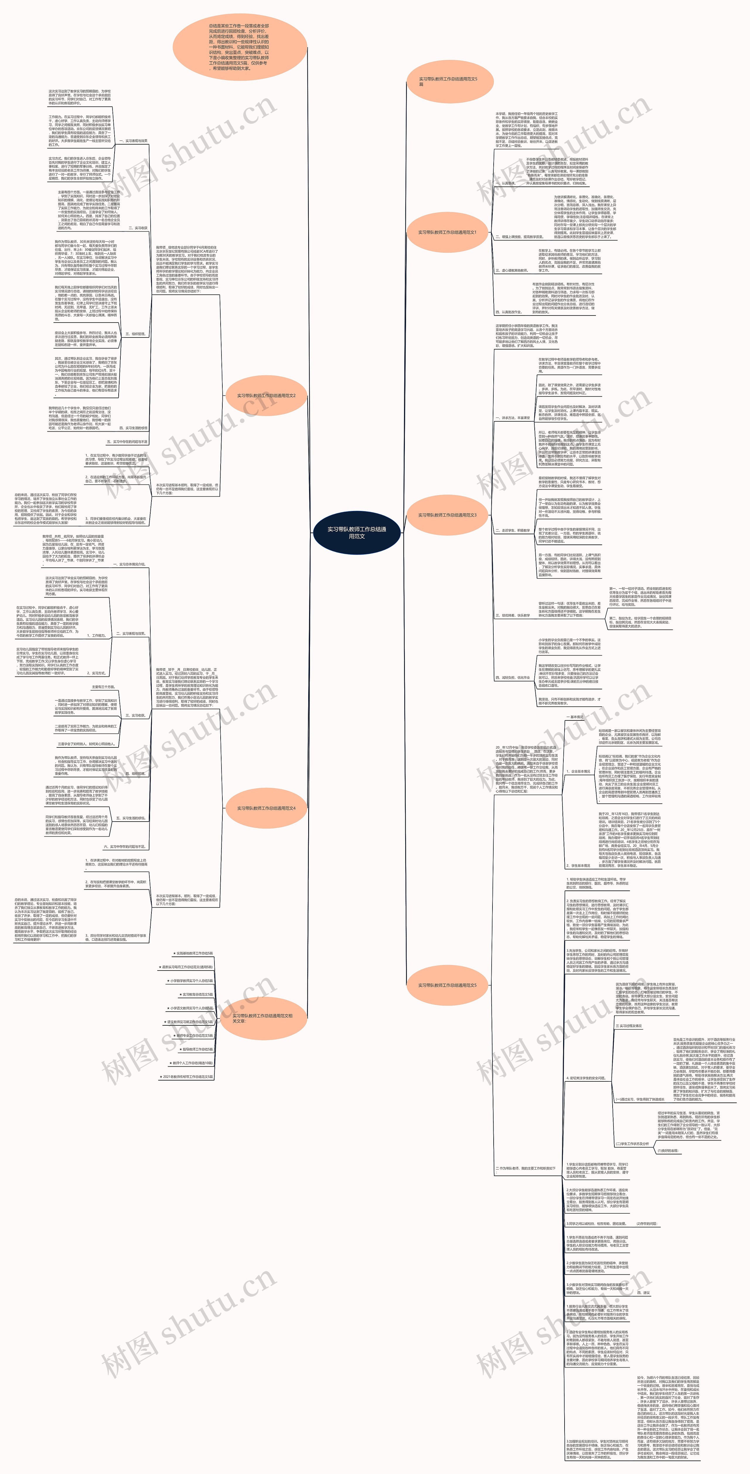 实习带队教师工作总结通用范文思维导图