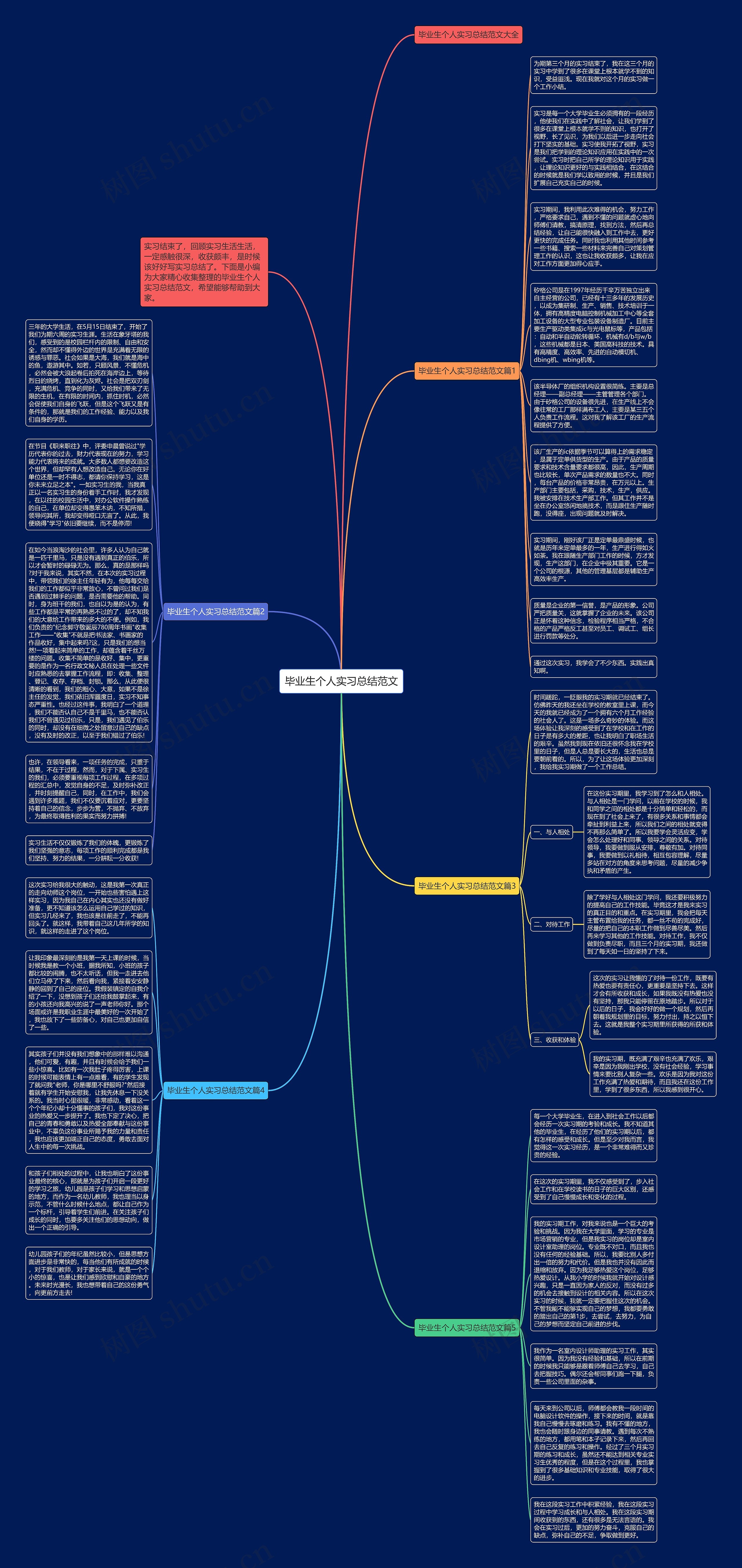 毕业生个人实习总结范文思维导图