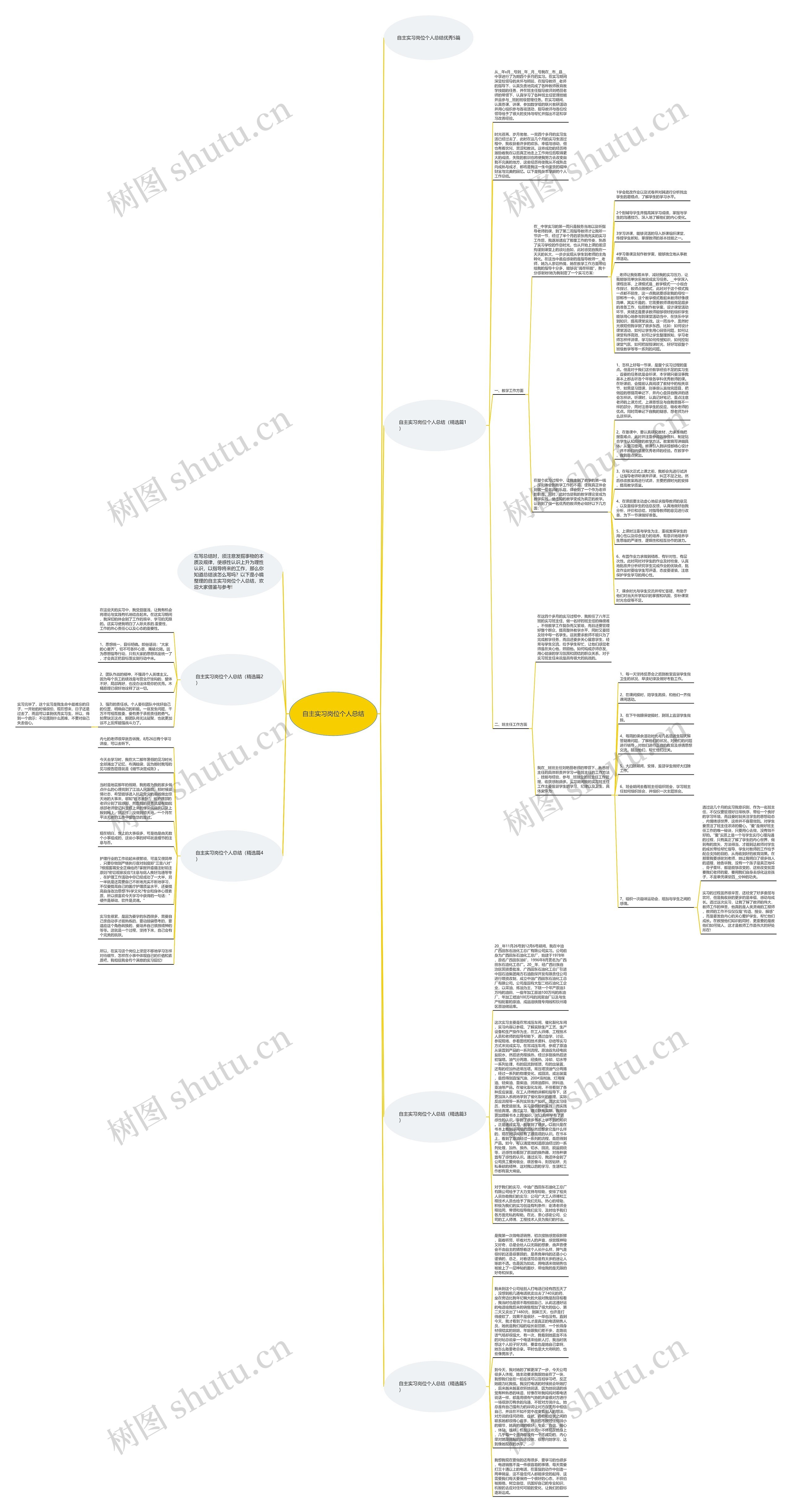 自主实习岗位个人总结思维导图