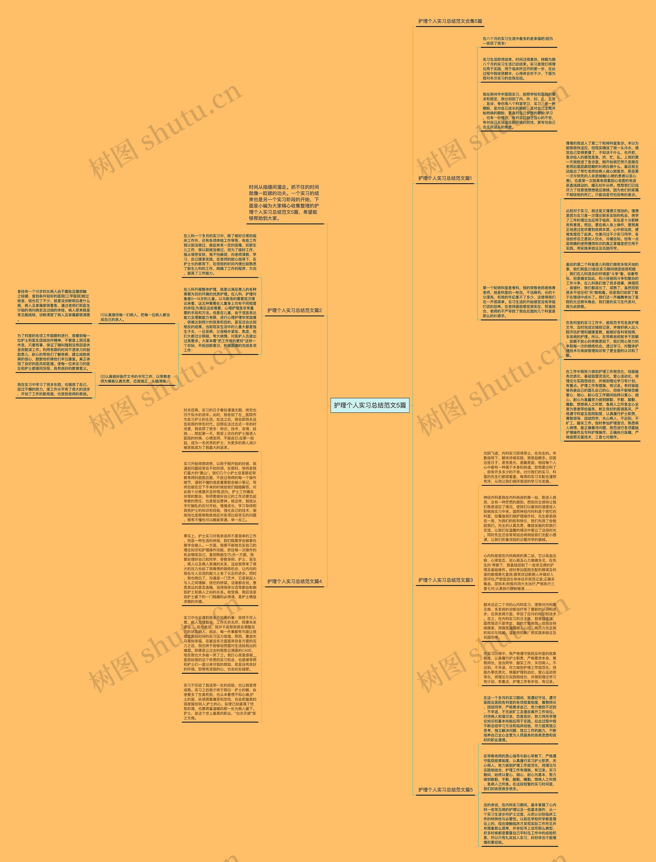 护理个人实习总结范文5篇