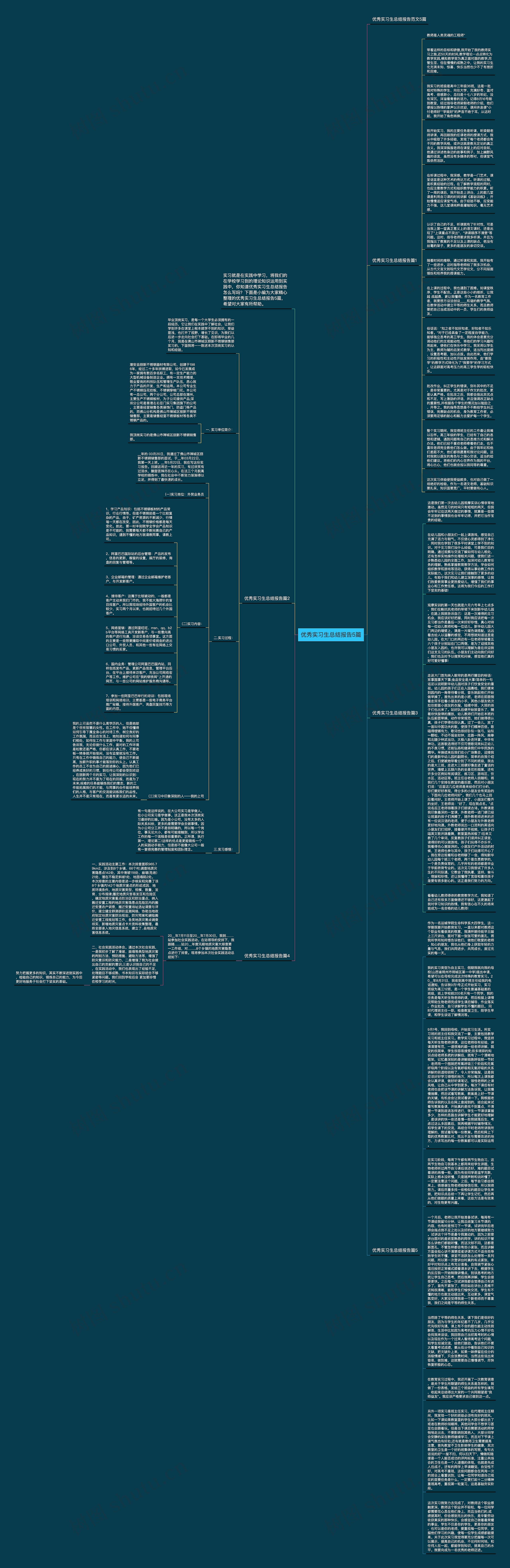 优秀实习生总结报告5篇思维导图