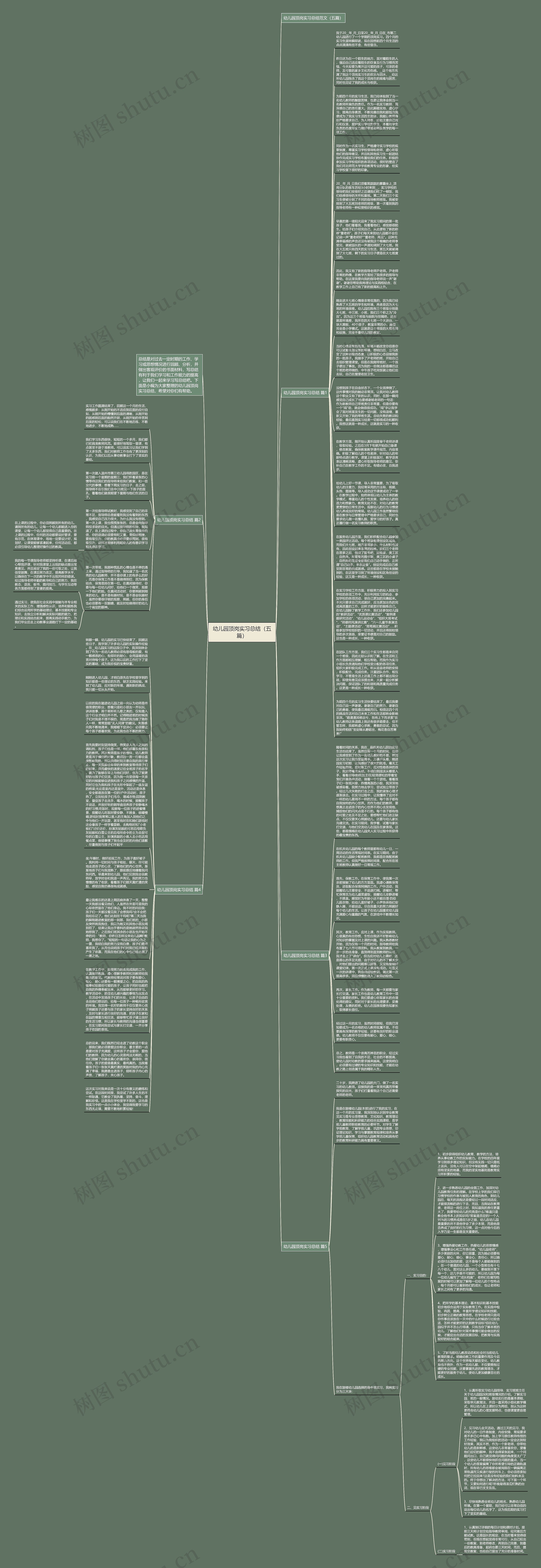 幼儿园顶岗实习总结（五篇）思维导图