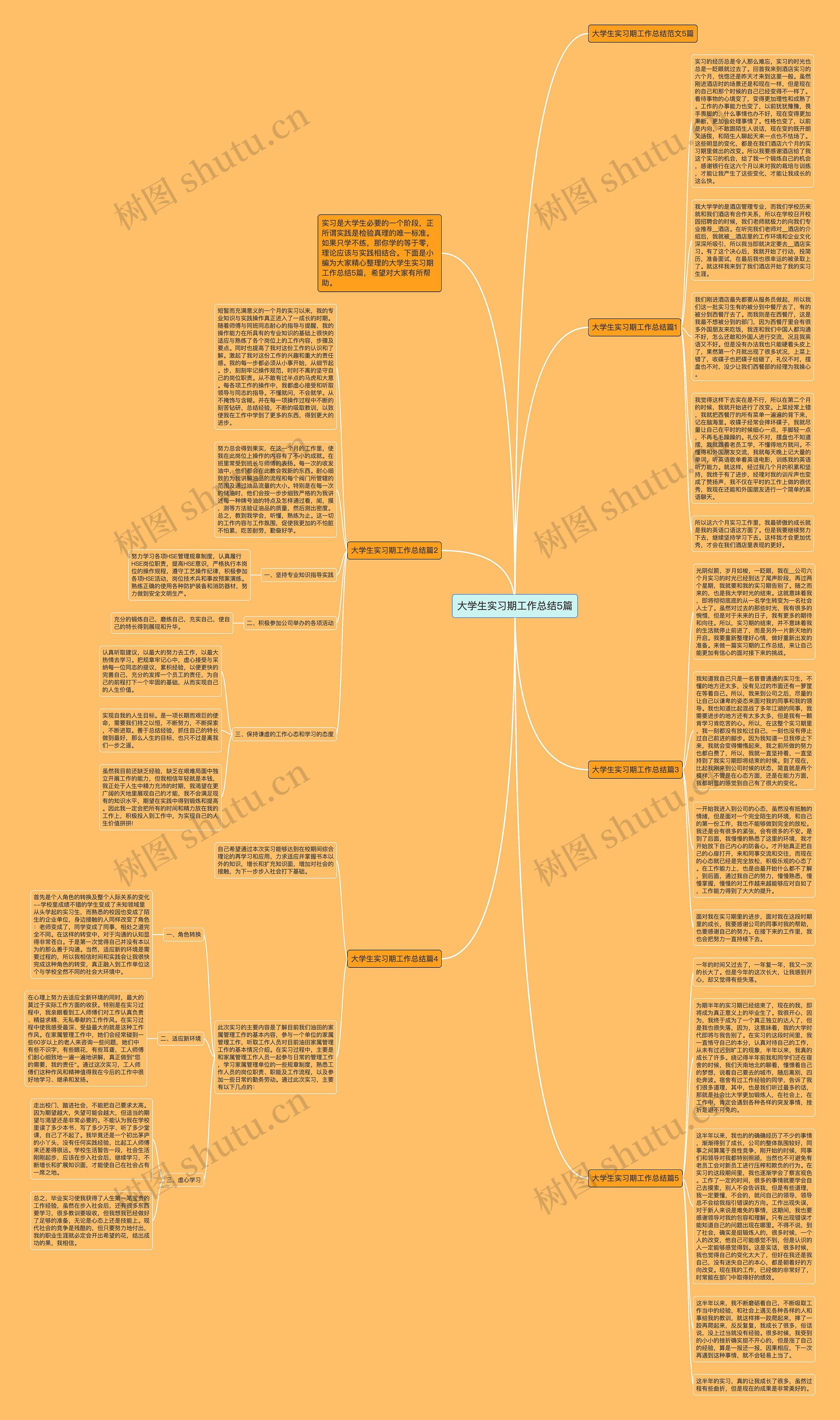 大学生实习期工作总结5篇思维导图