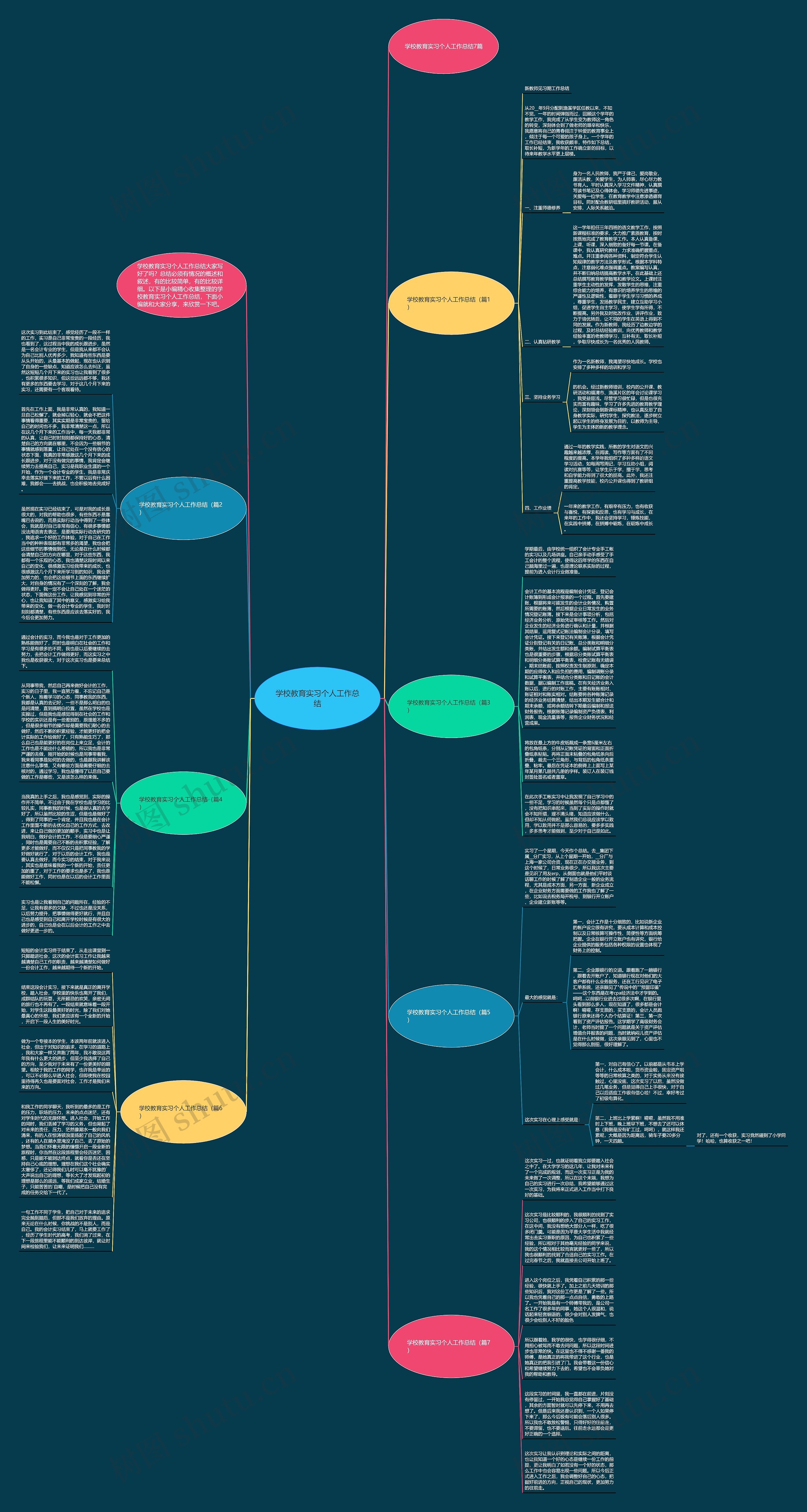 学校教育实习个人工作总结思维导图