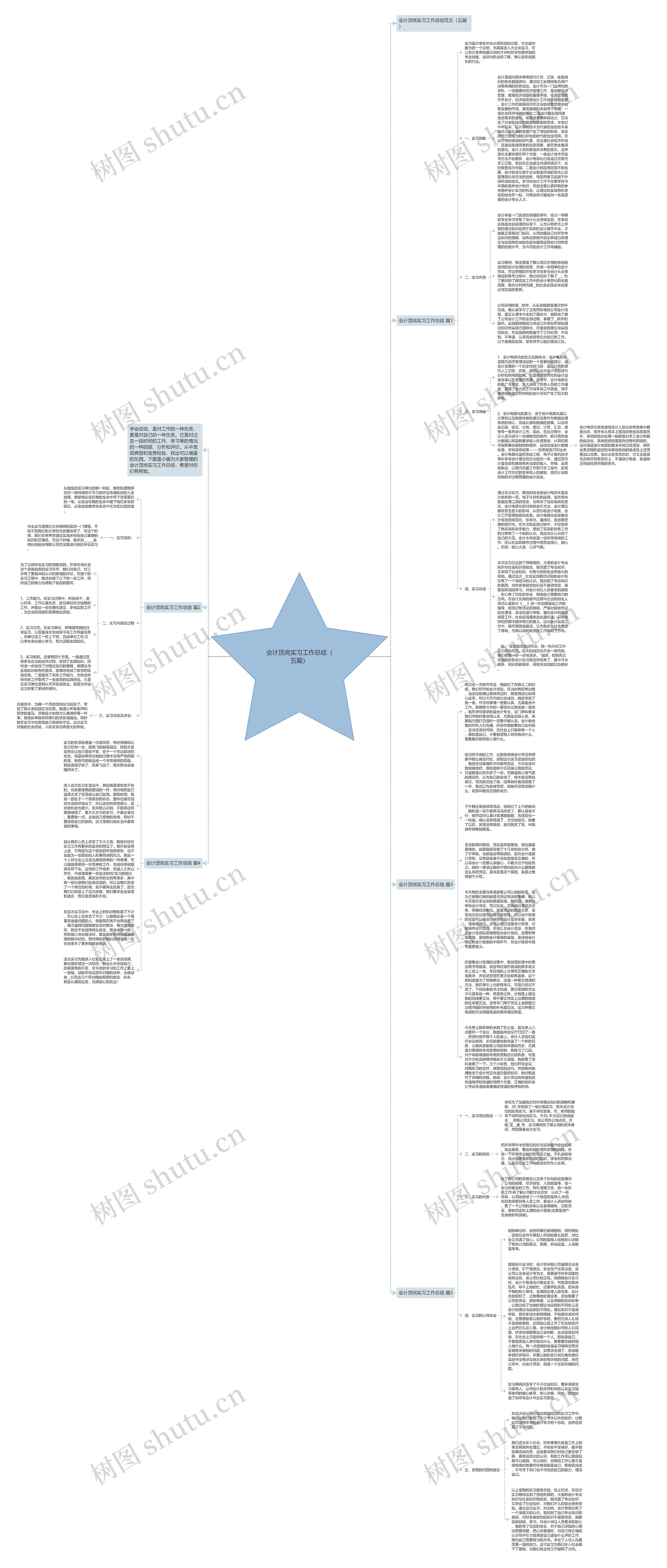 会计顶岗实习工作总结（五篇）思维导图