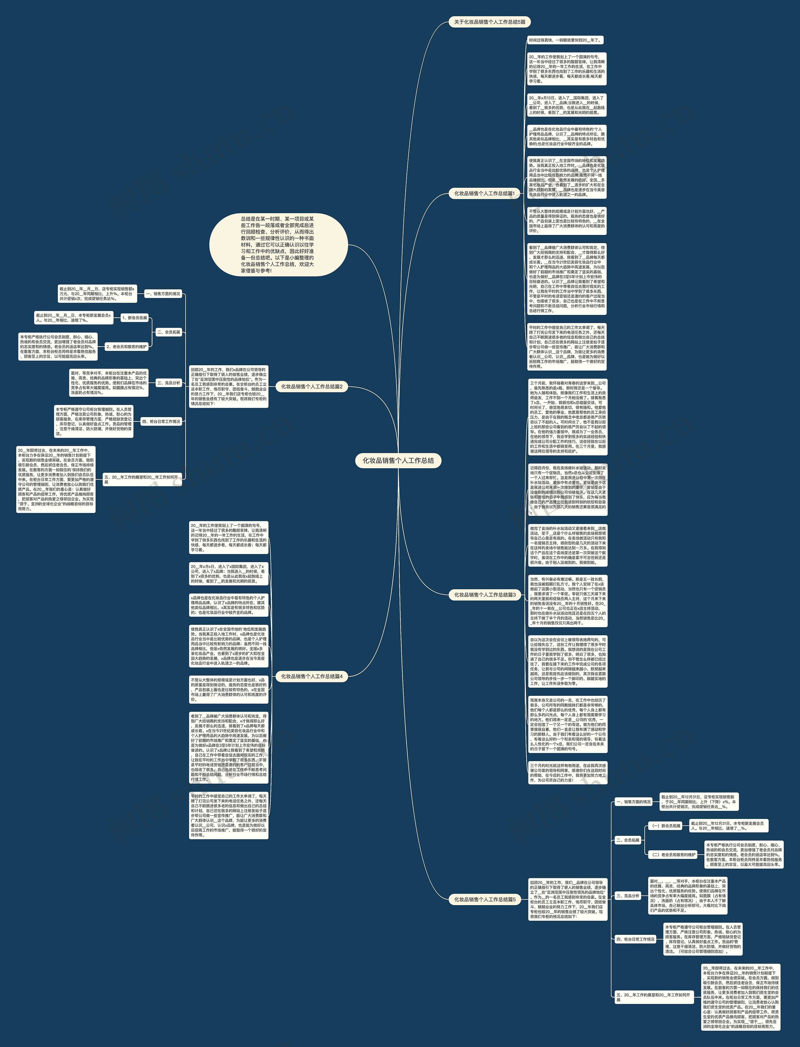 化妆品销售个人工作总结思维导图