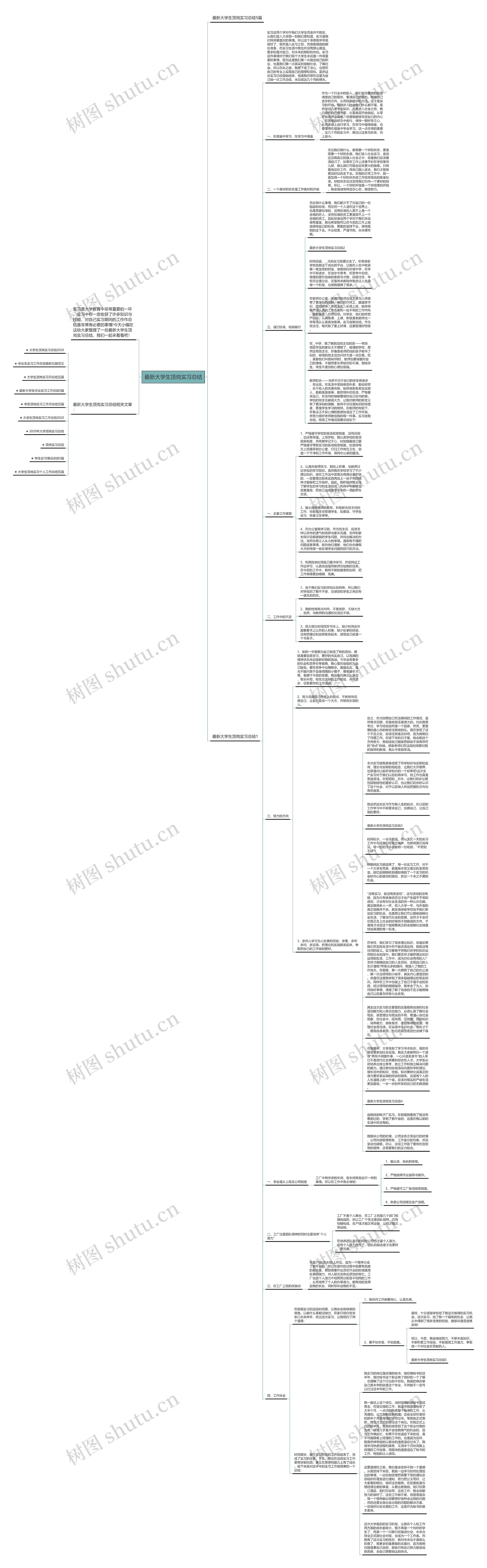 最新大学生顶岗实习总结思维导图