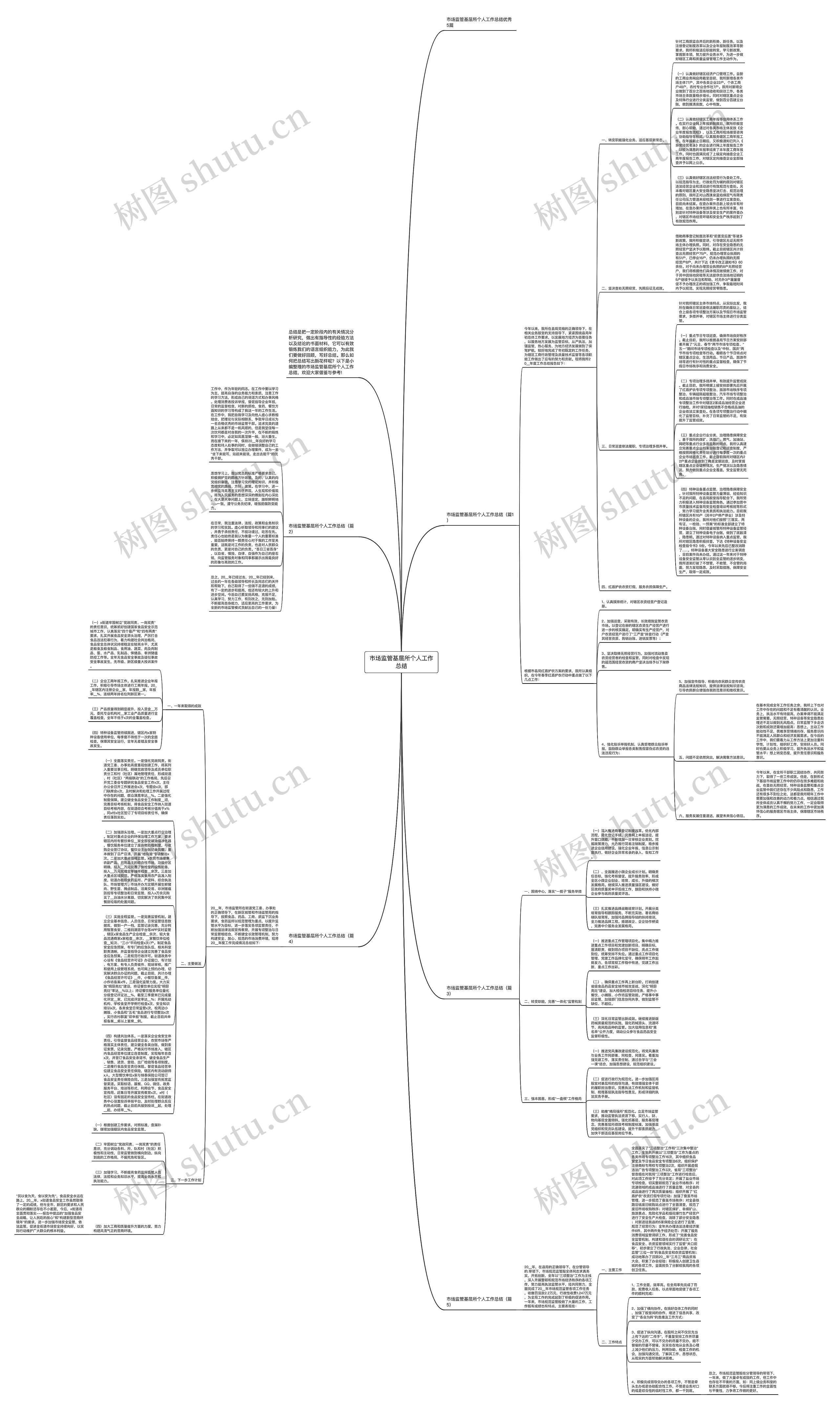 市场监管基层所个人工作总结思维导图