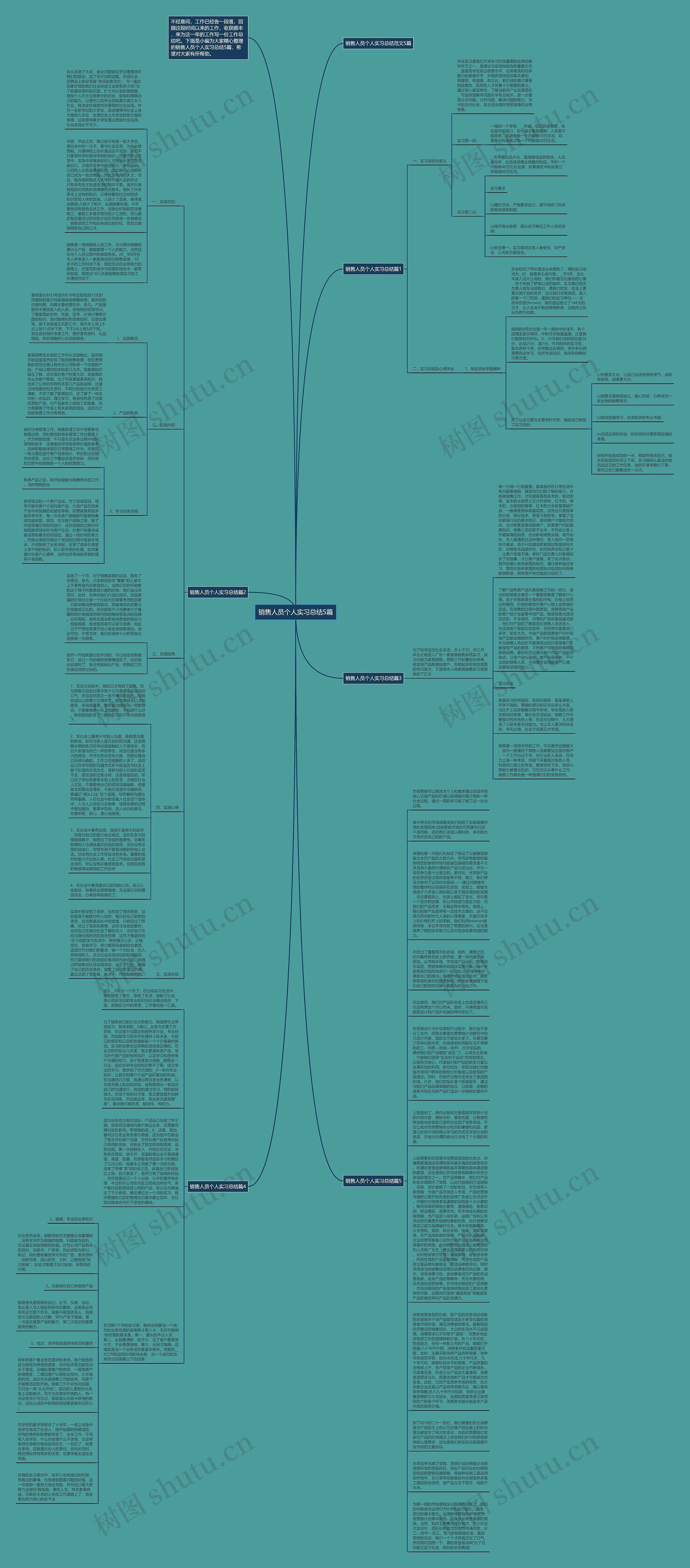 销售人员个人实习总结5篇思维导图