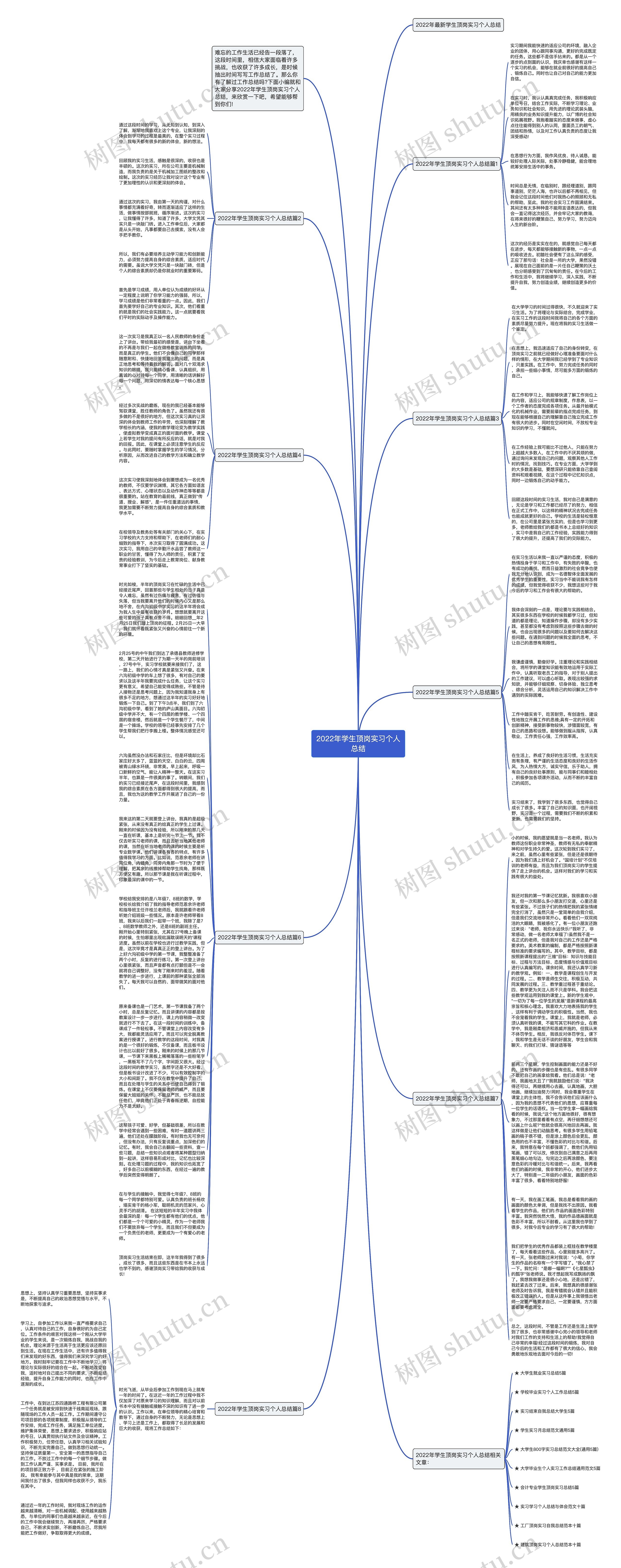 2022年学生顶岗实习个人总结思维导图