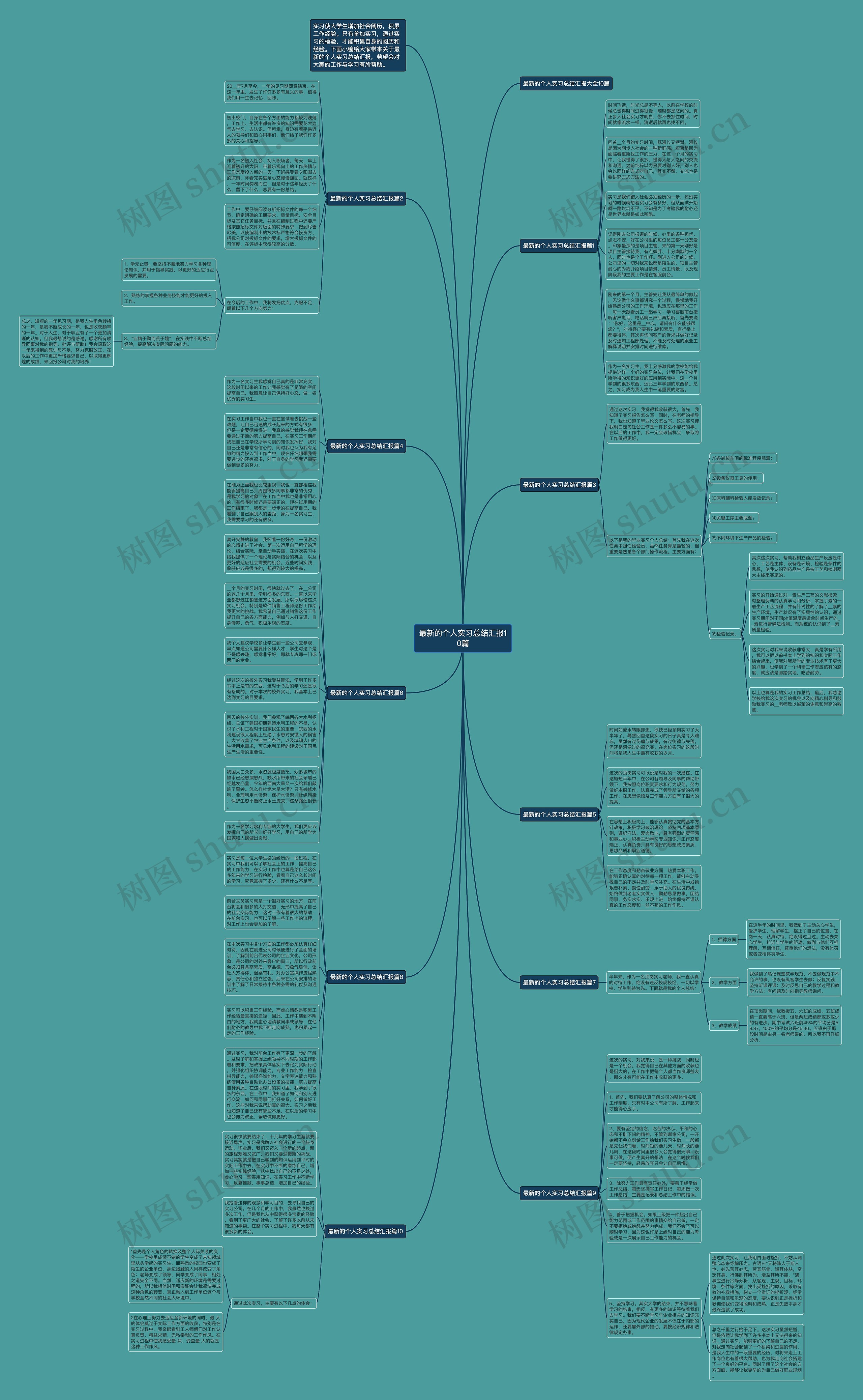 最新的个人实习总结汇报10篇思维导图