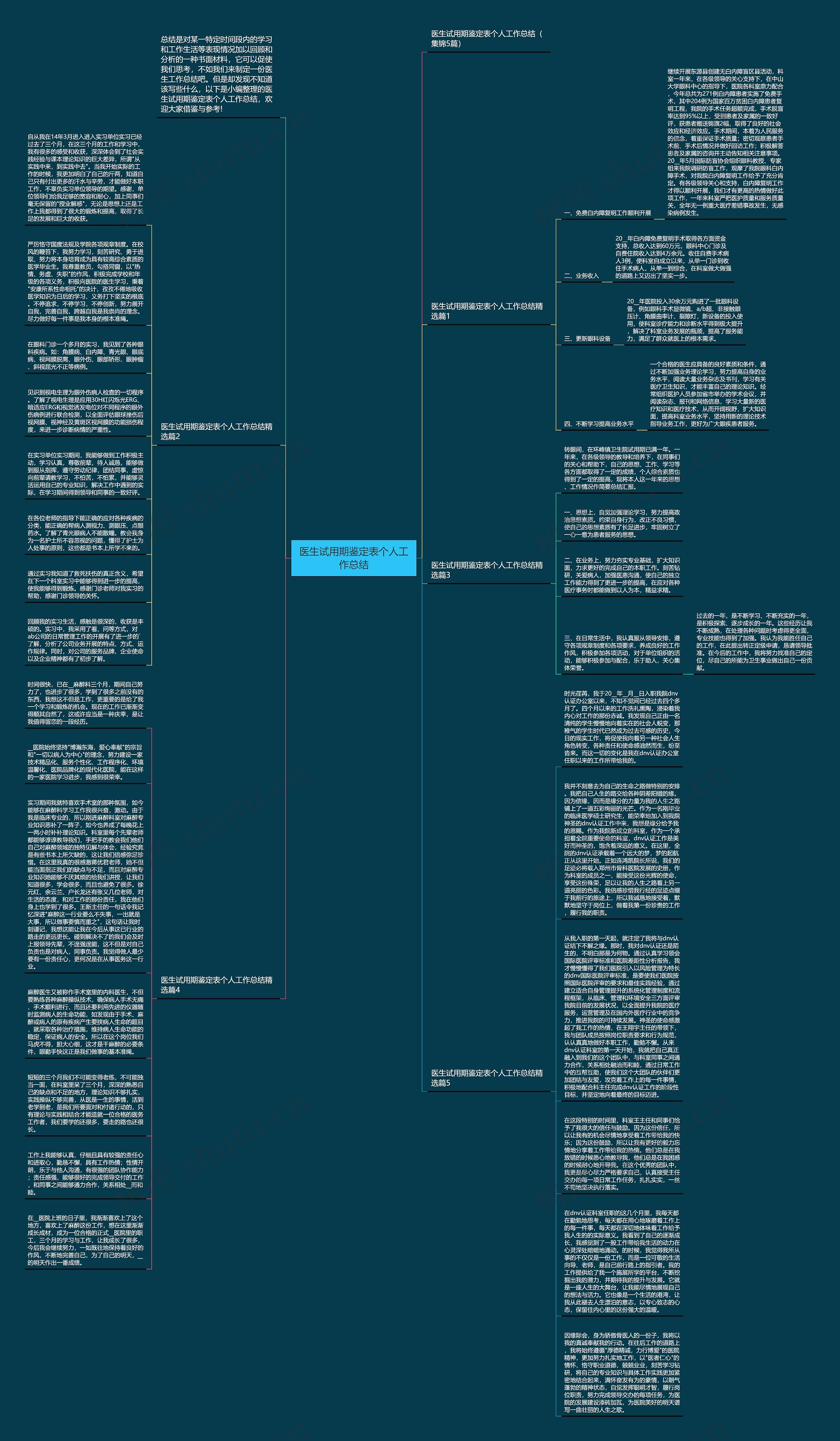 医生试用期鉴定表个人工作总结思维导图高清图 医生试用期鉴定表个人工作总结思维导图