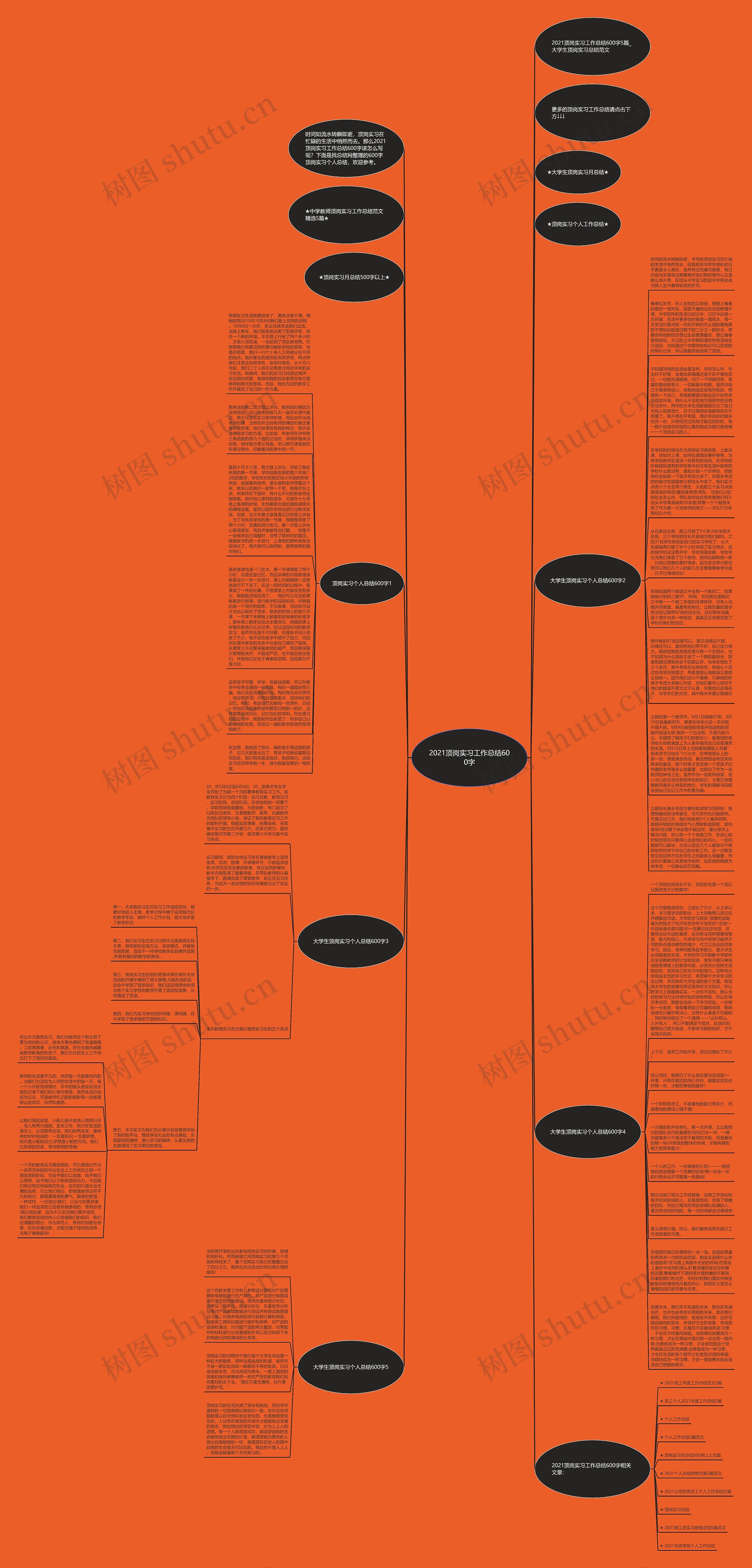 2021顶岗实习工作总结600字思维导图