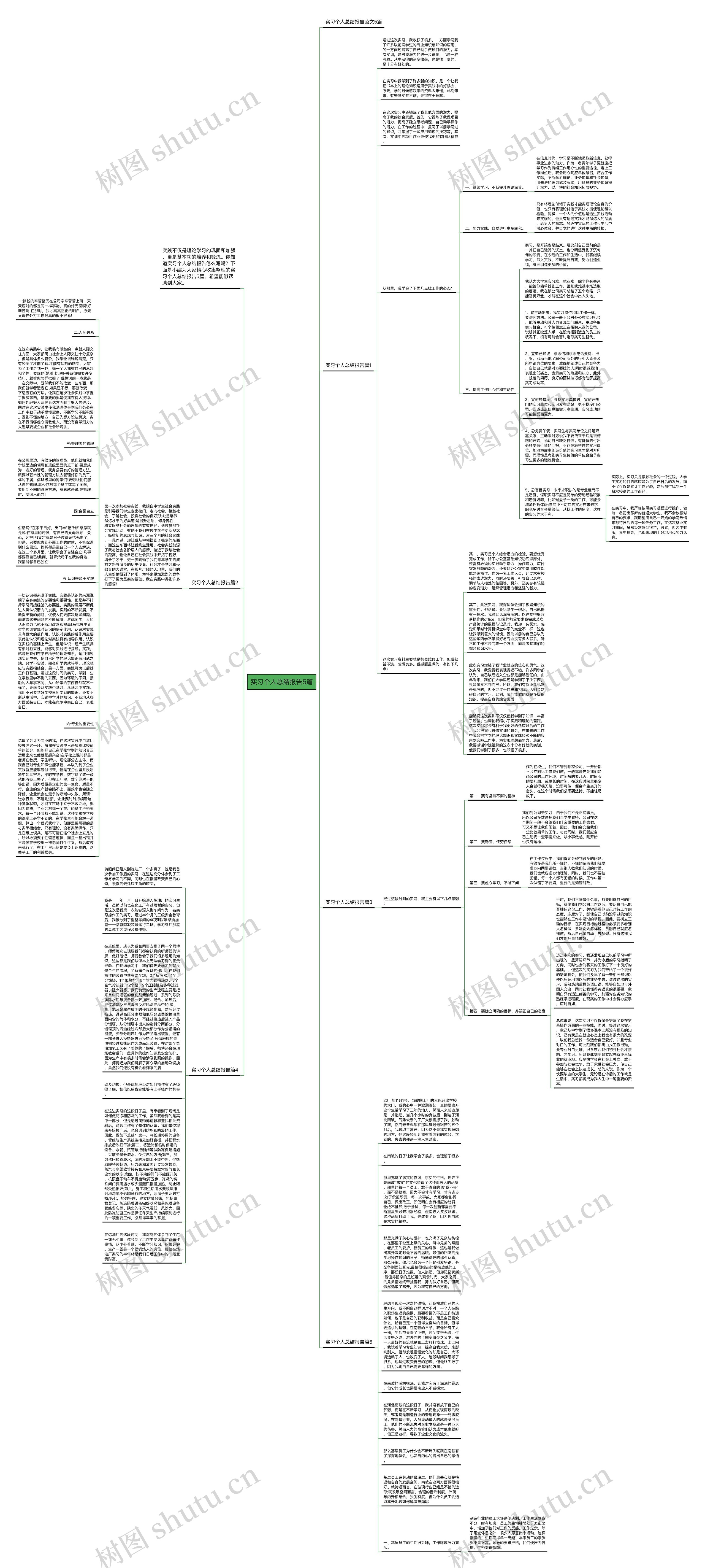 实习个人总结报告5篇