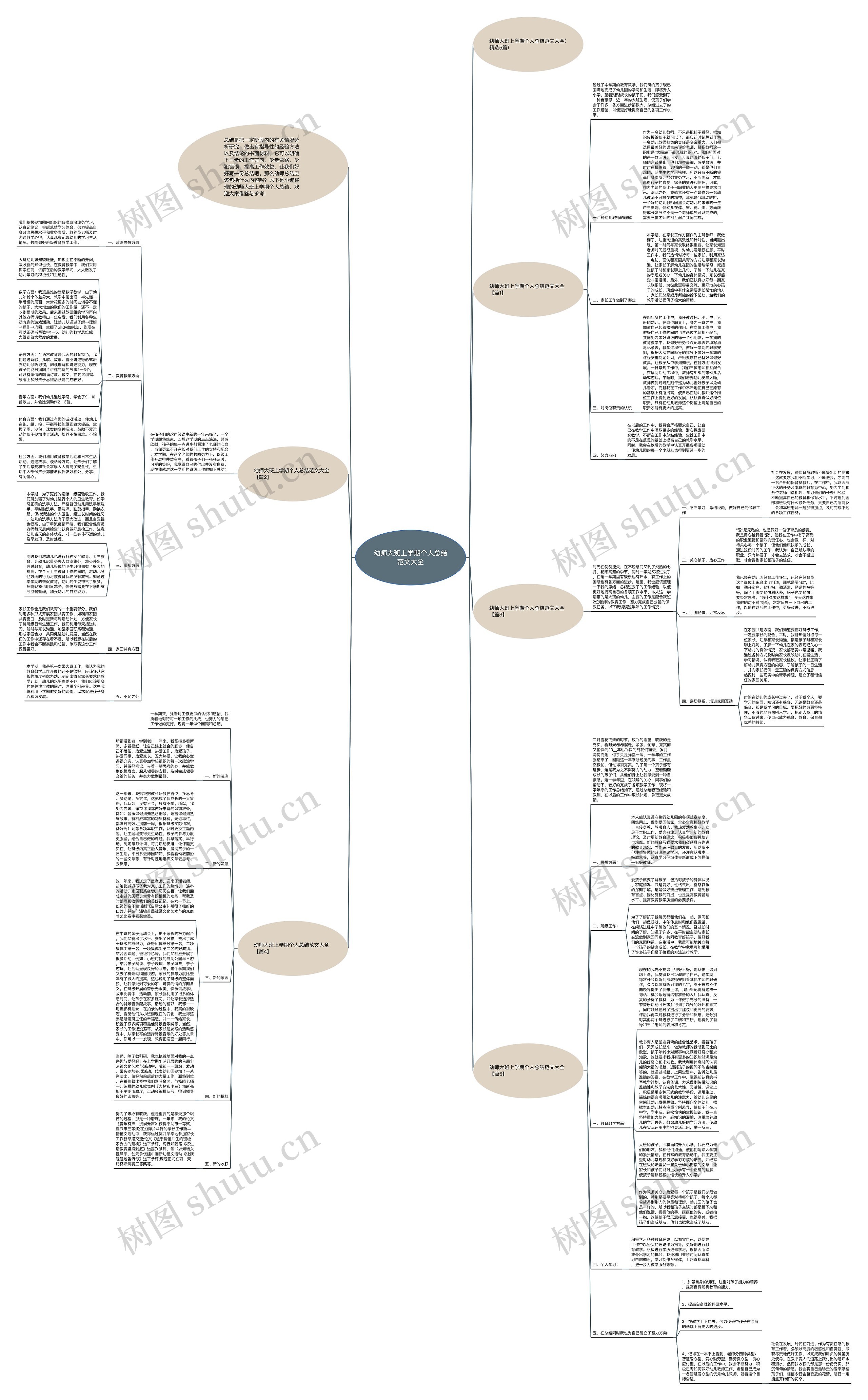 幼师大班上学期个人总结范文大全思维导图