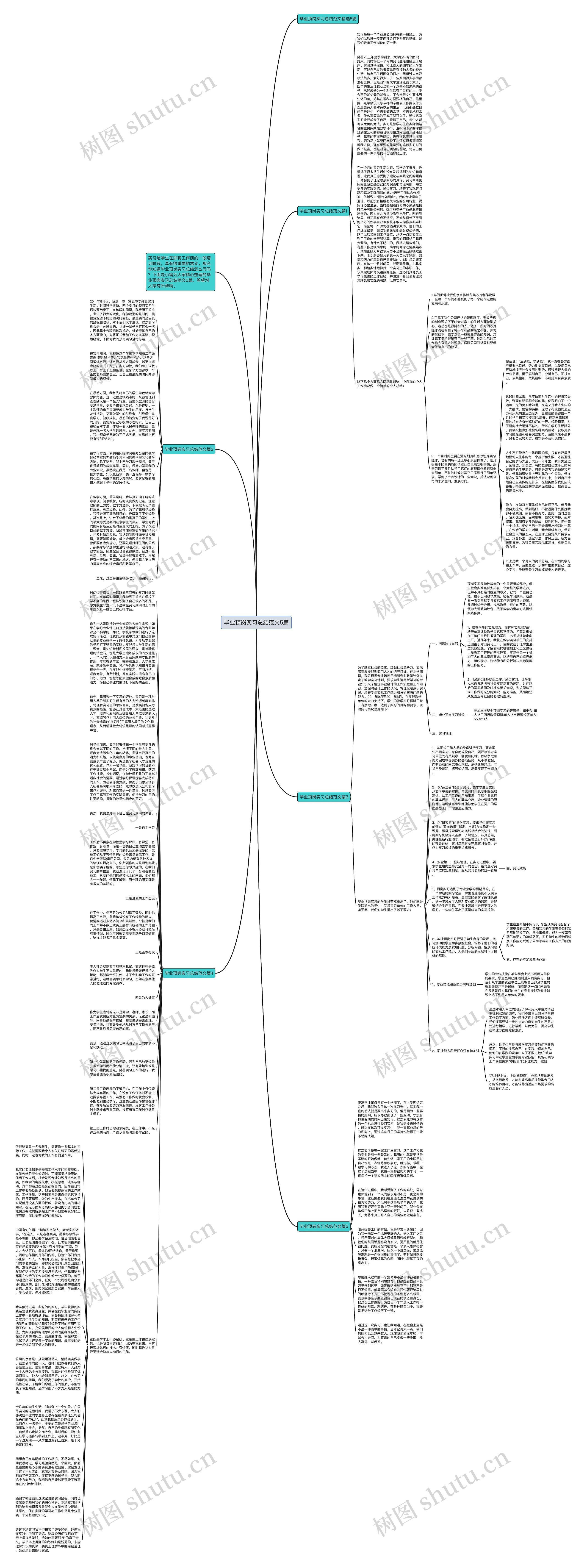 毕业顶岗实习总结范文5篇思维导图