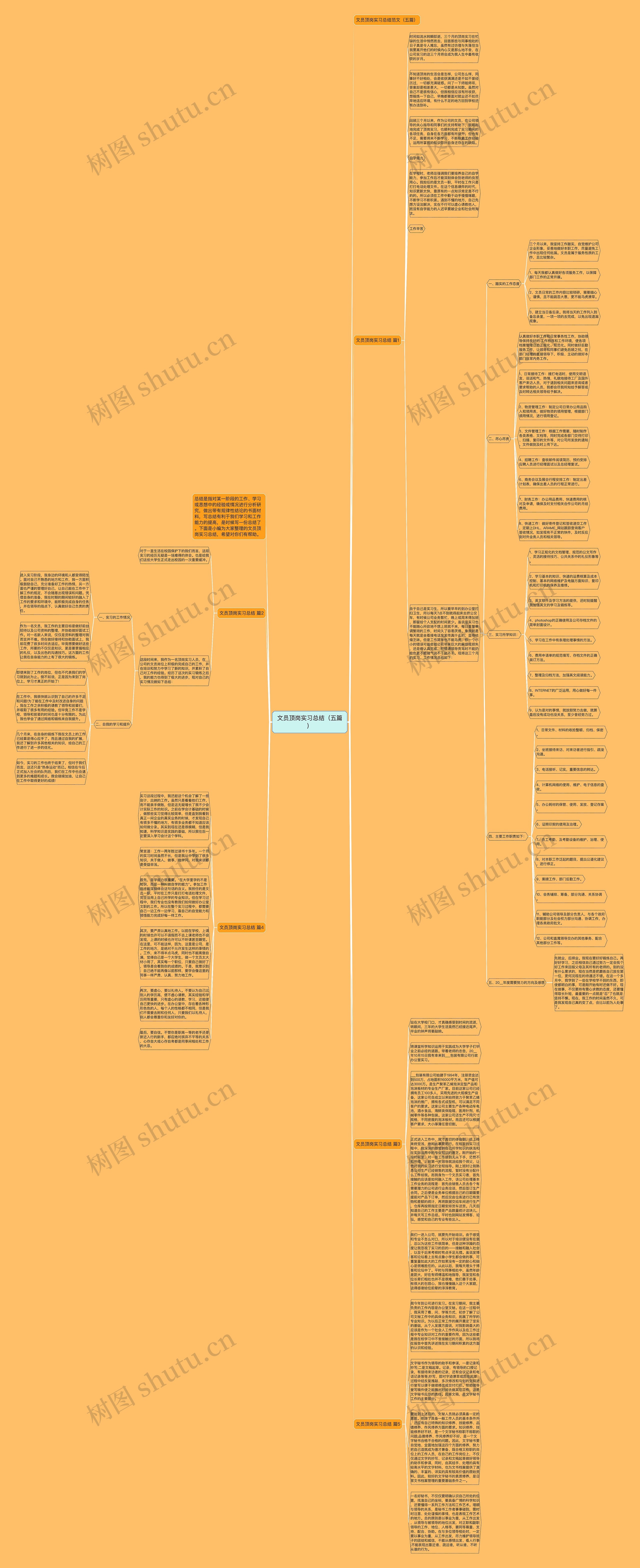 文员顶岗实习总结（五篇）思维导图