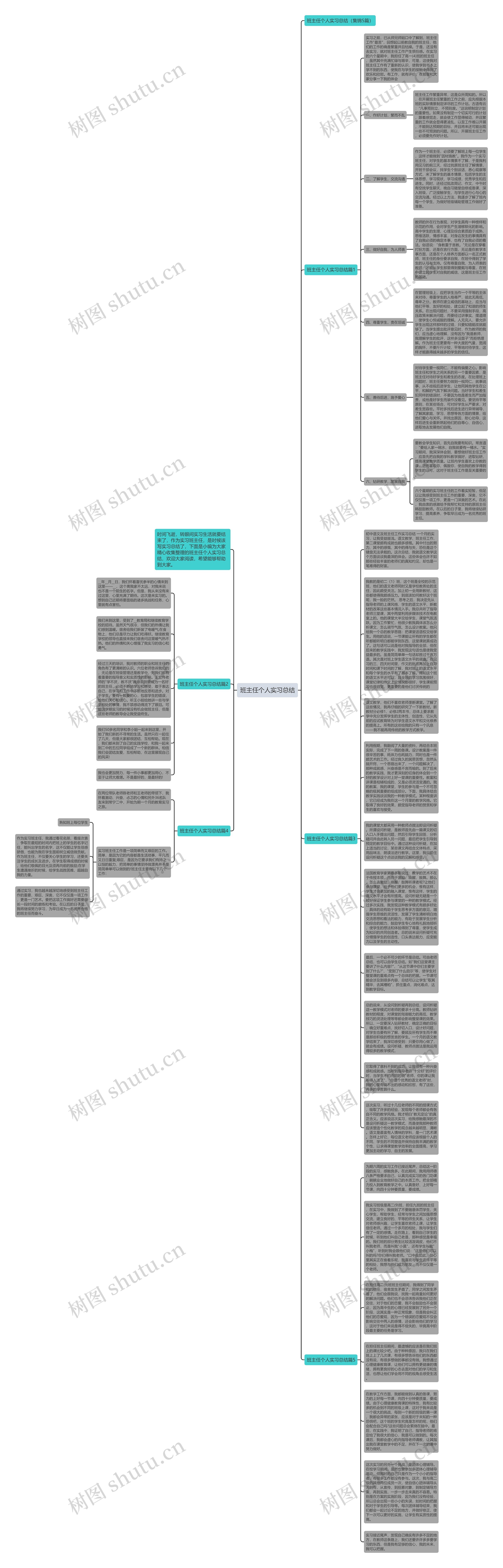班主任个人实习总结思维导图