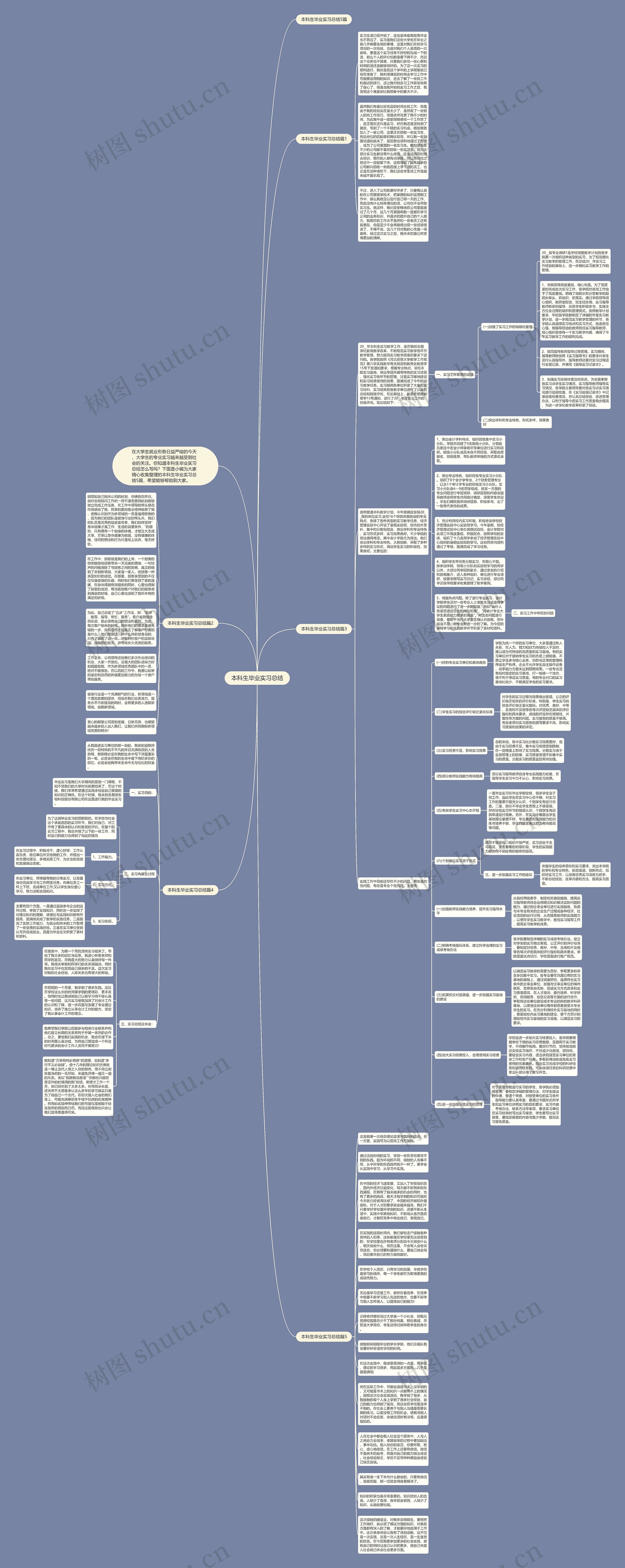 本科生毕业实习总结思维导图