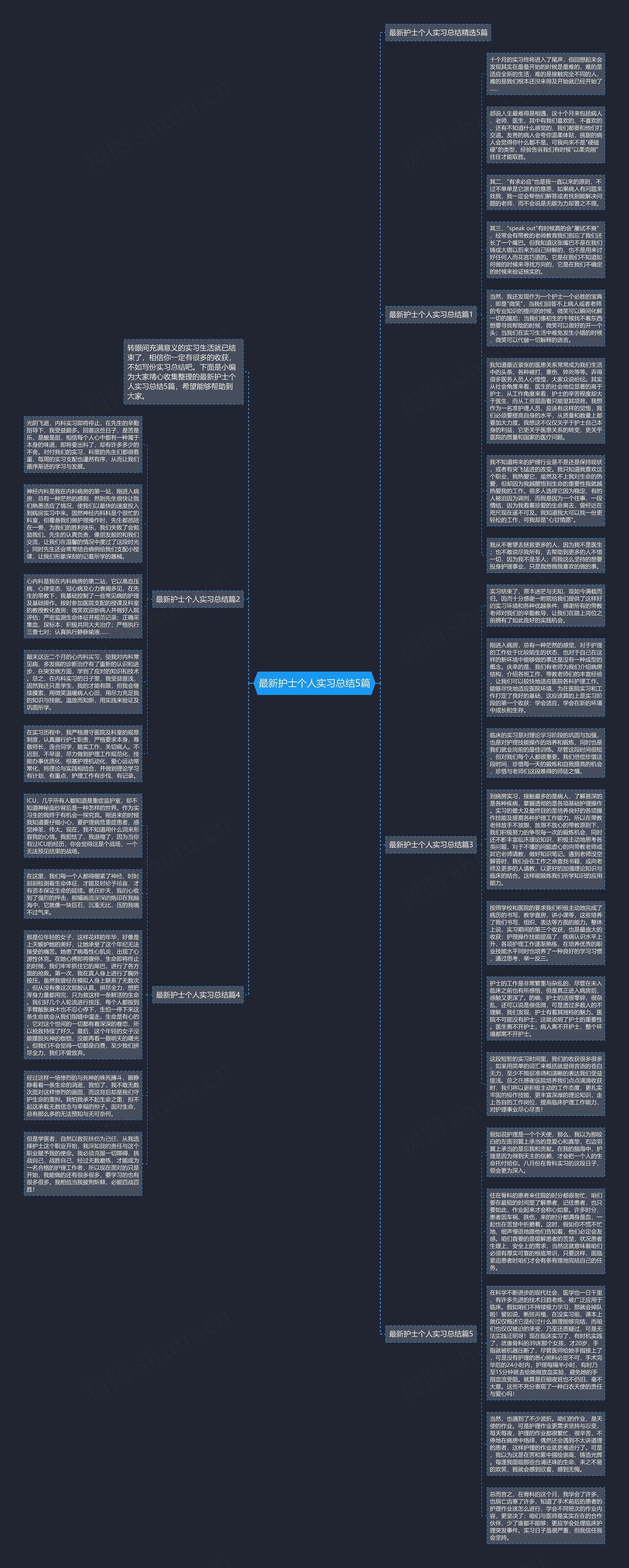 最新护士个人实习总结5篇思维导图