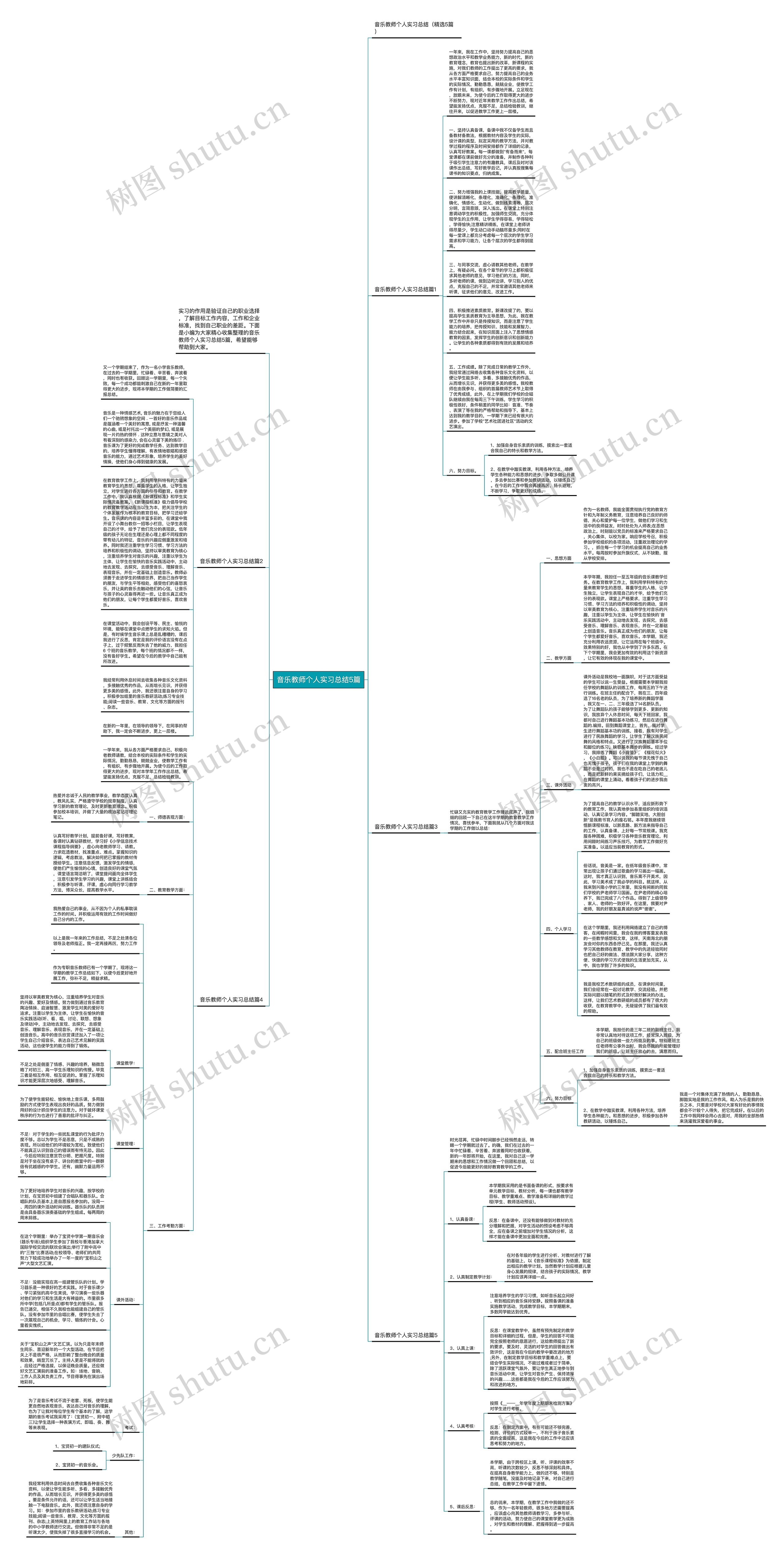 音乐教师个人实习总结5篇思维导图