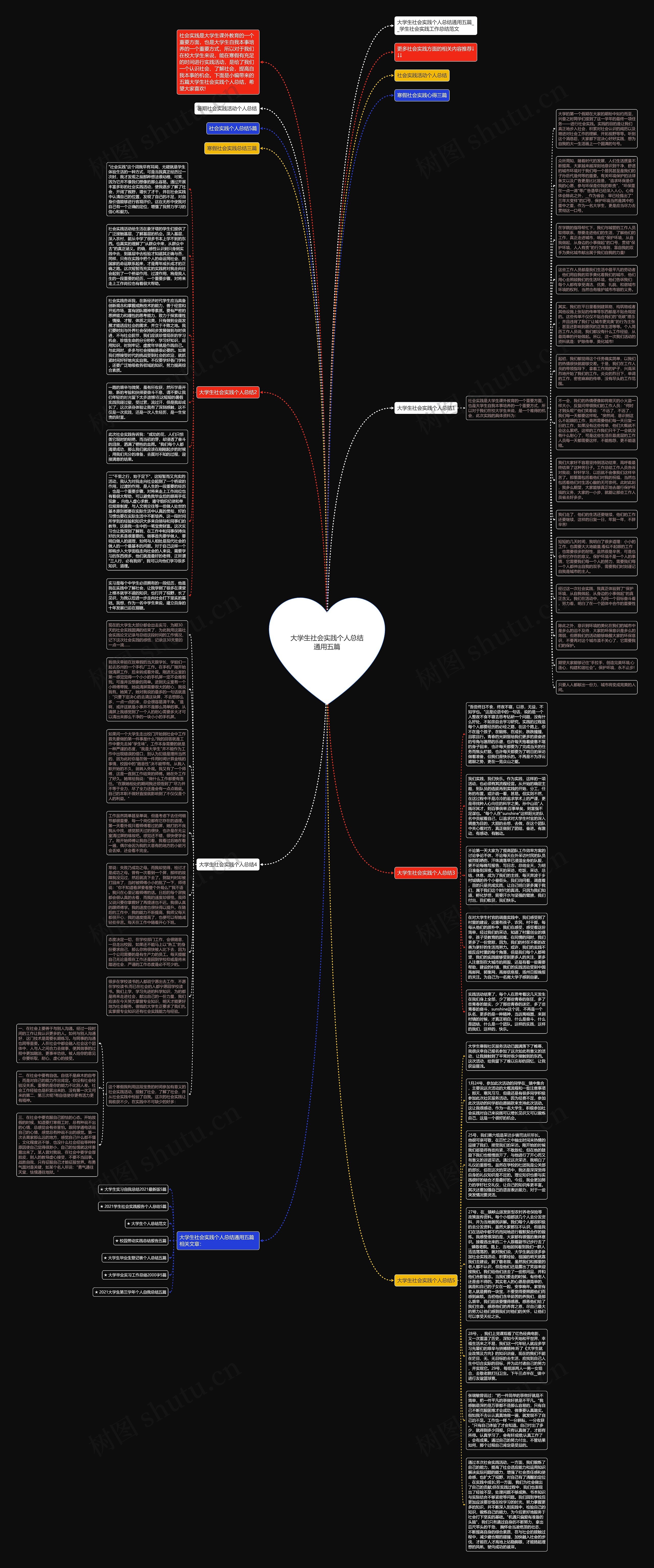 大学生社会实践个人总结通用五篇思维导图
