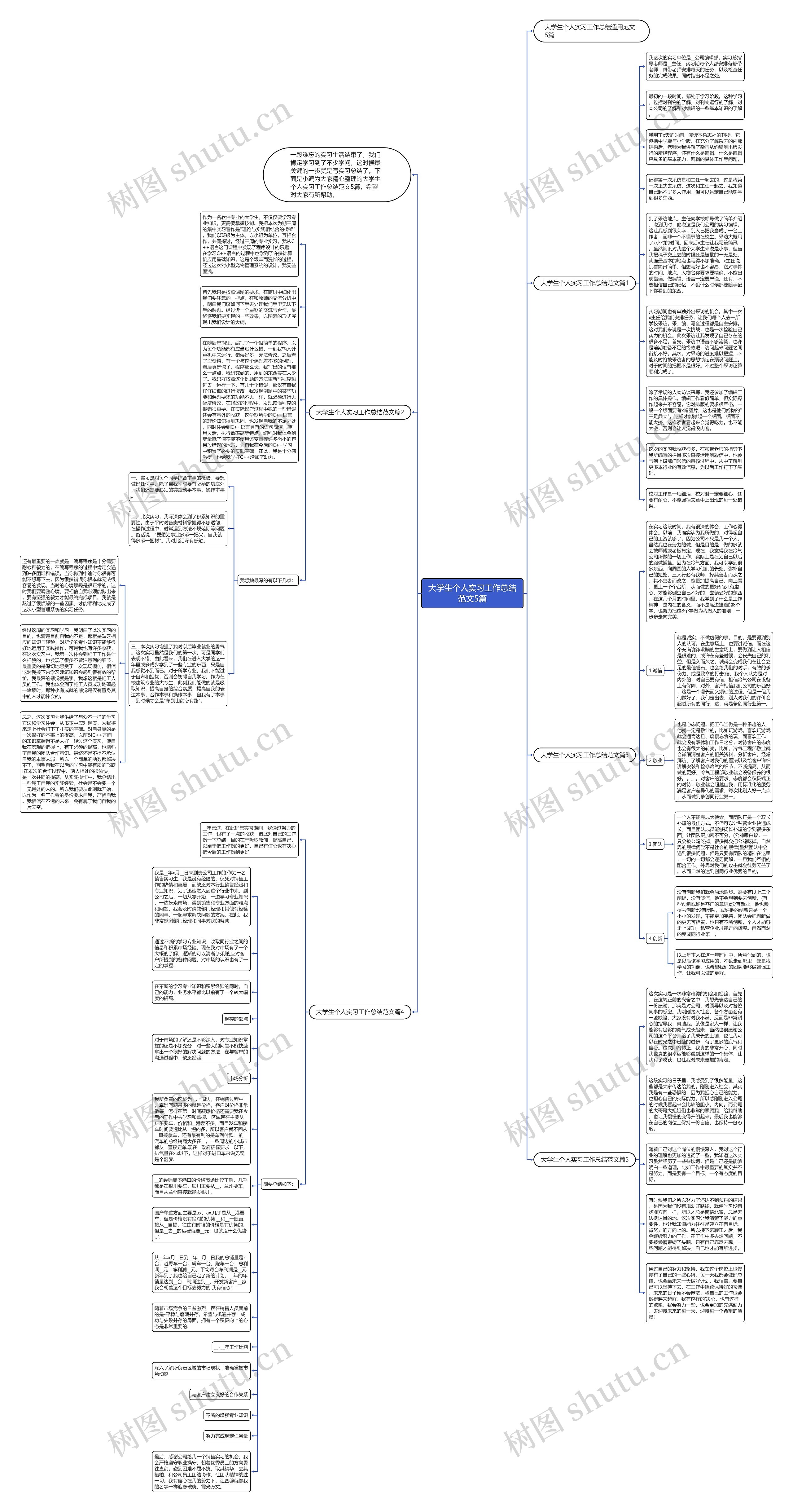 大学生个人实习工作总结范文5篇