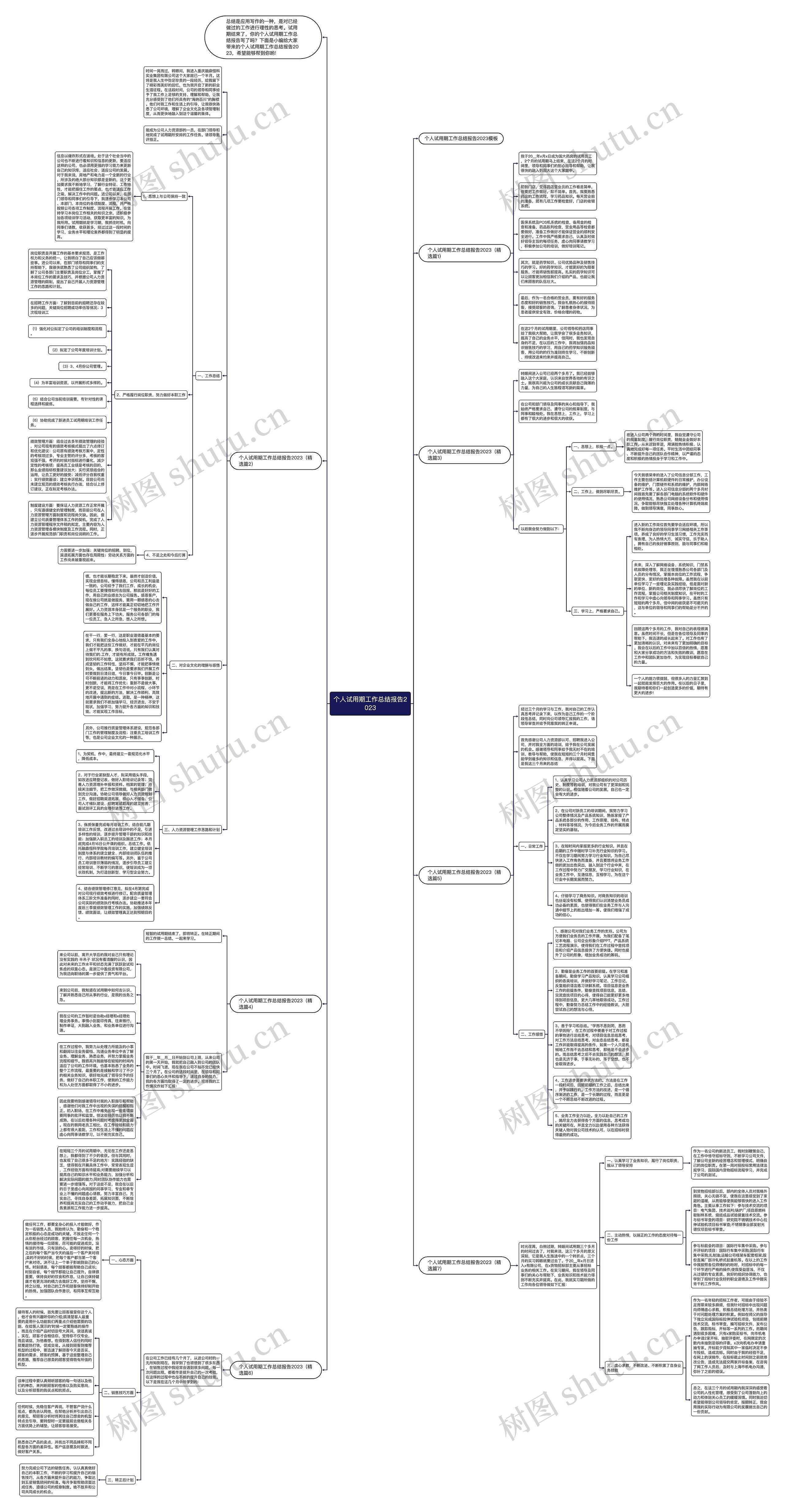 个人试用期工作总结报告2023思维导图